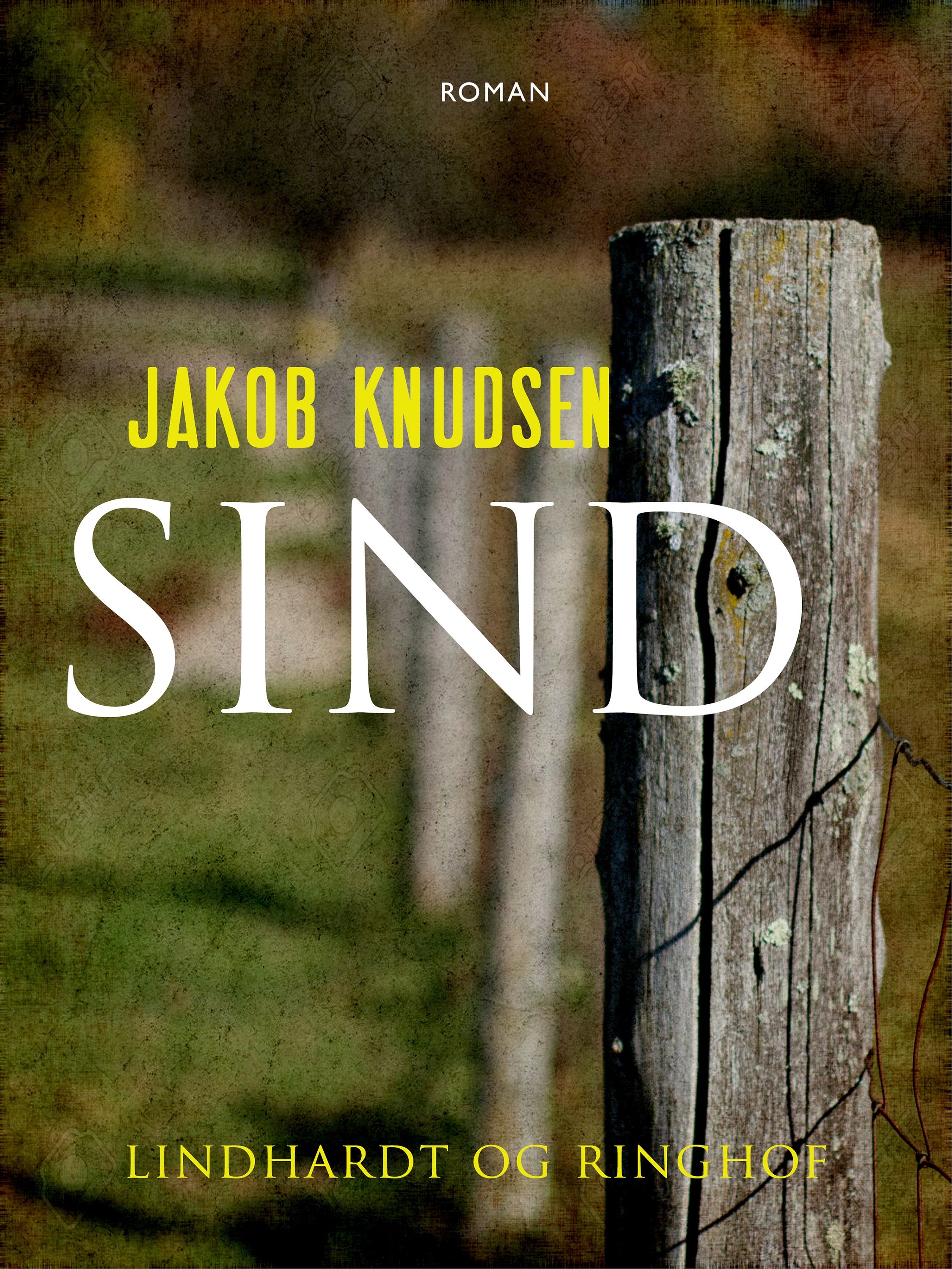 Sind, ljudbok av Jakob Knudsen
