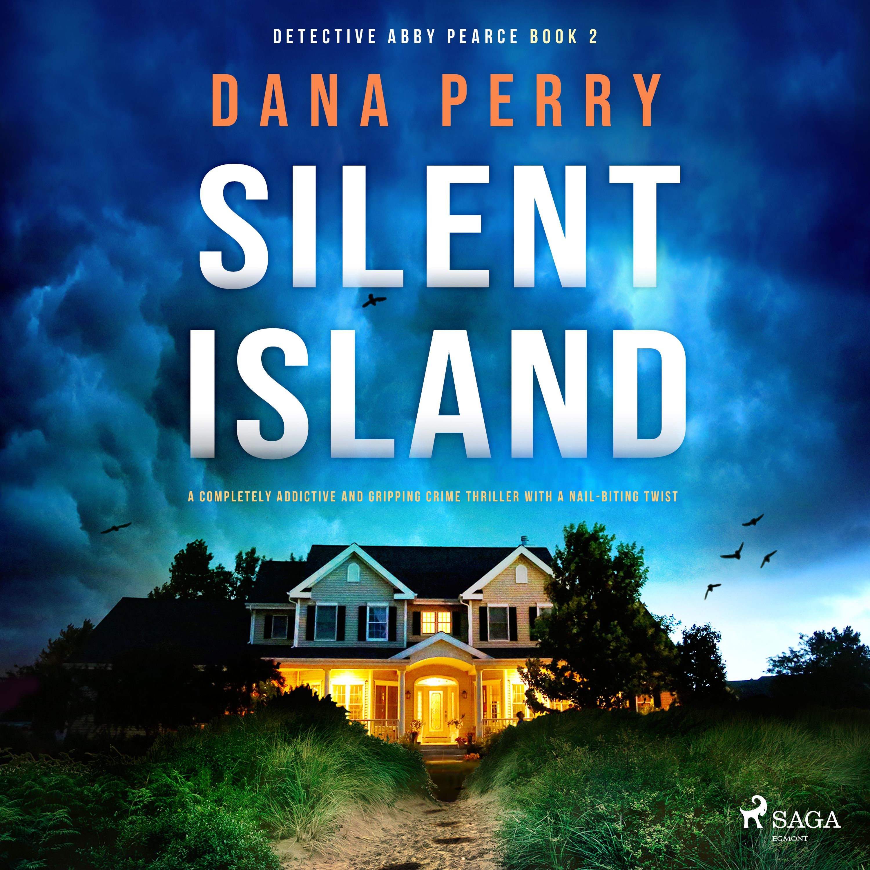 Silent Island, audiobook by Dana Perry