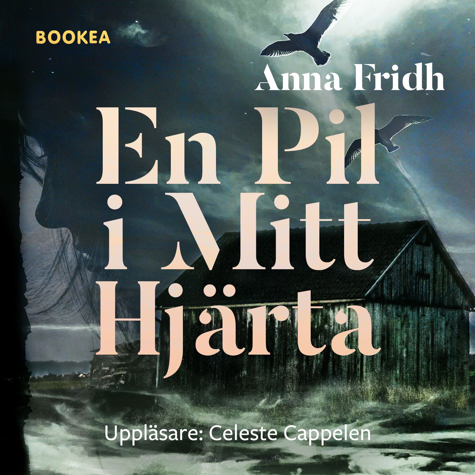 En pil i mitt hjärta, audiobook by Anna Fridh