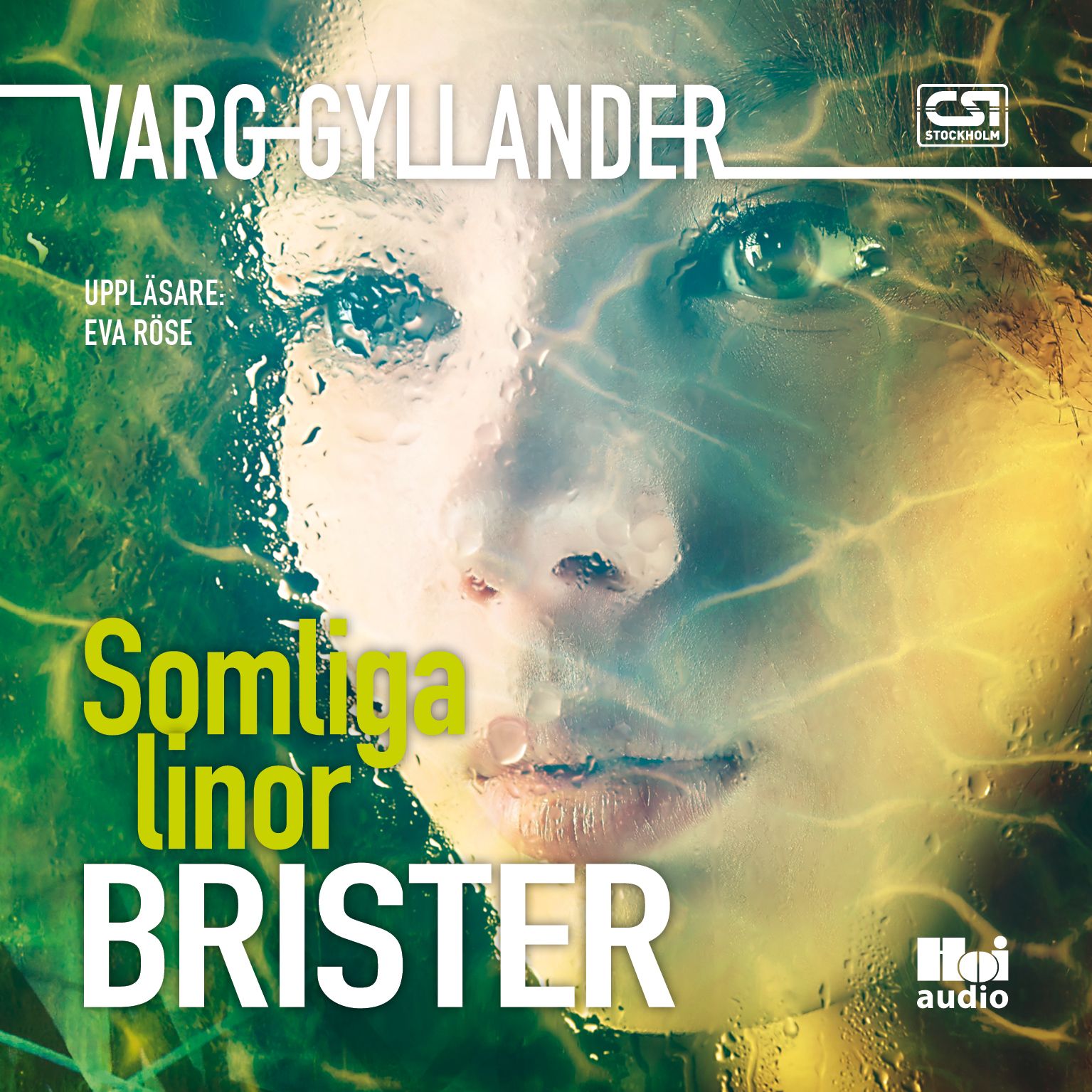 Somliga linor brister, audiobook by Varg Gyllander