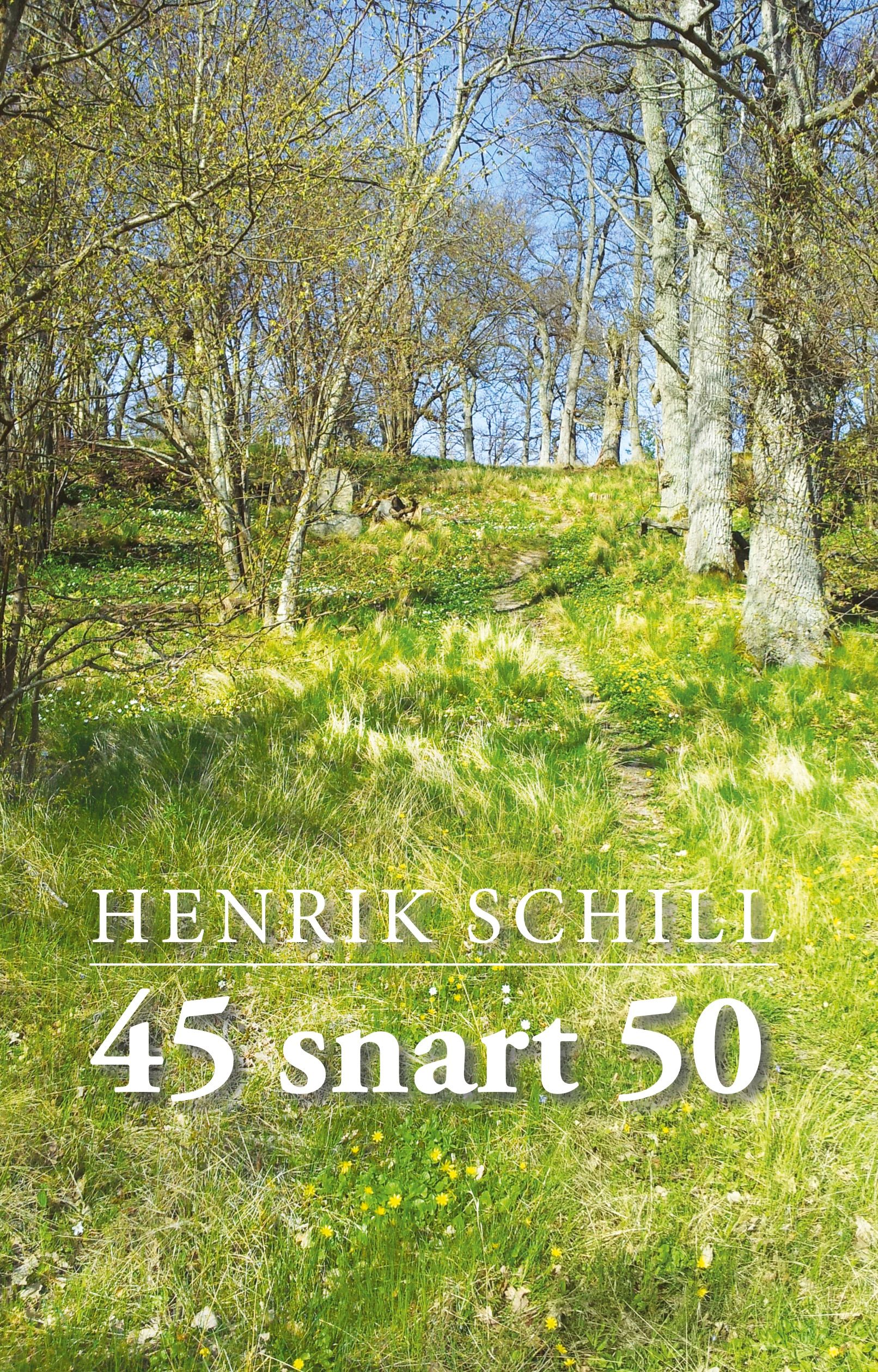 45 snart 50, e-bog af Henrik Schill