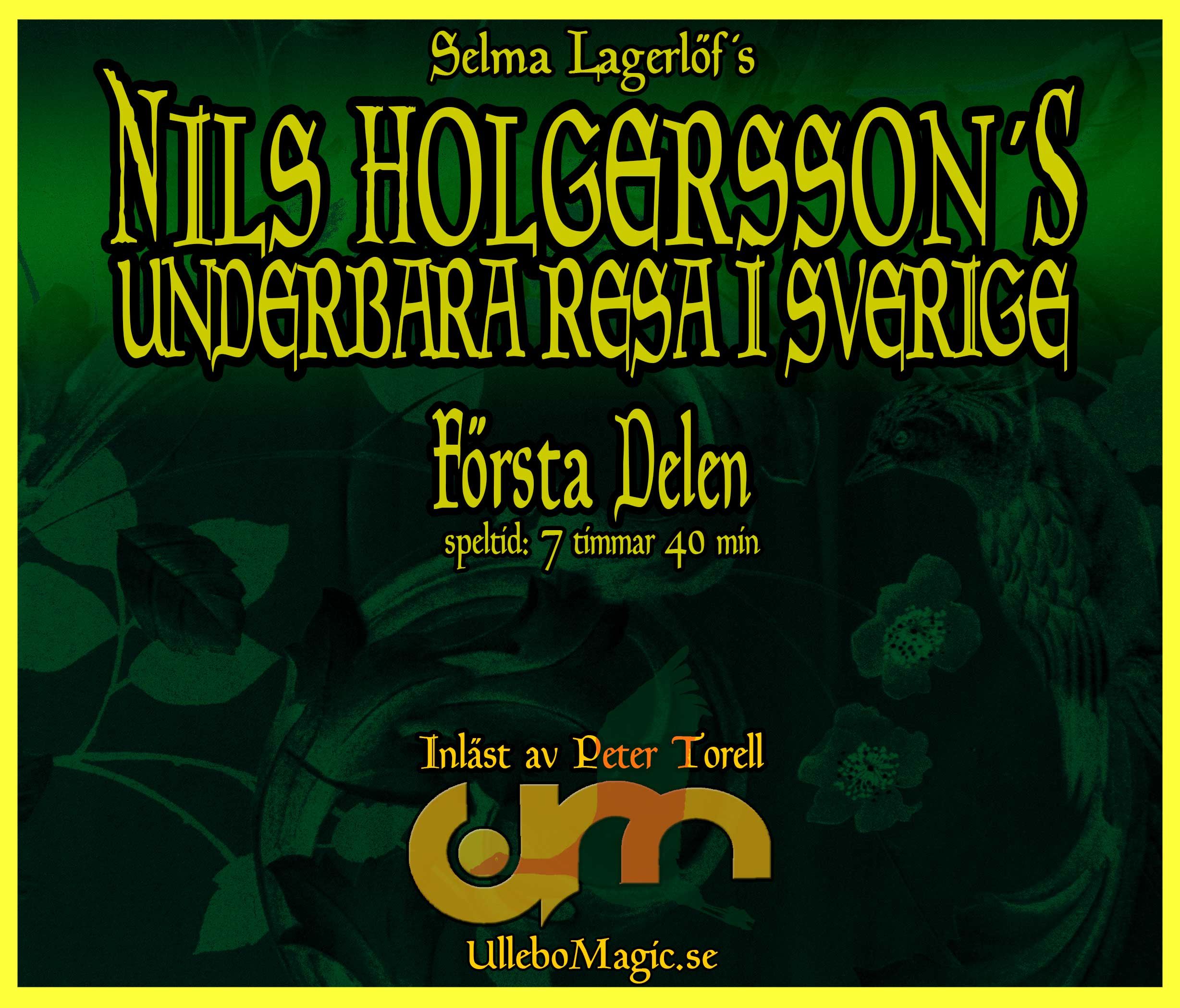 Nils Holgerssons underbara resa 1, ljudbok av Selma Lagerlöf