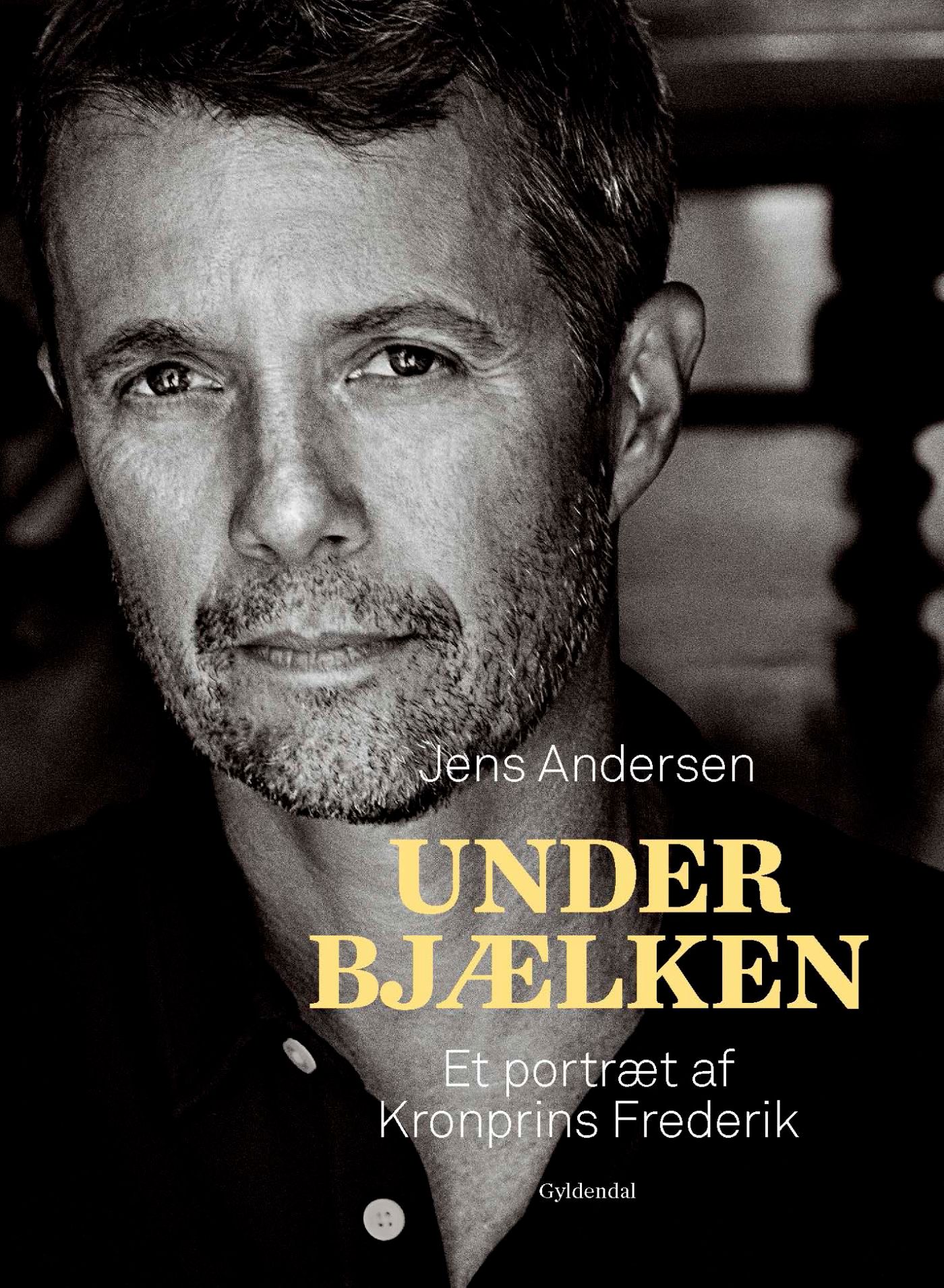 Under bjælken, e-bog af Jens Andersen