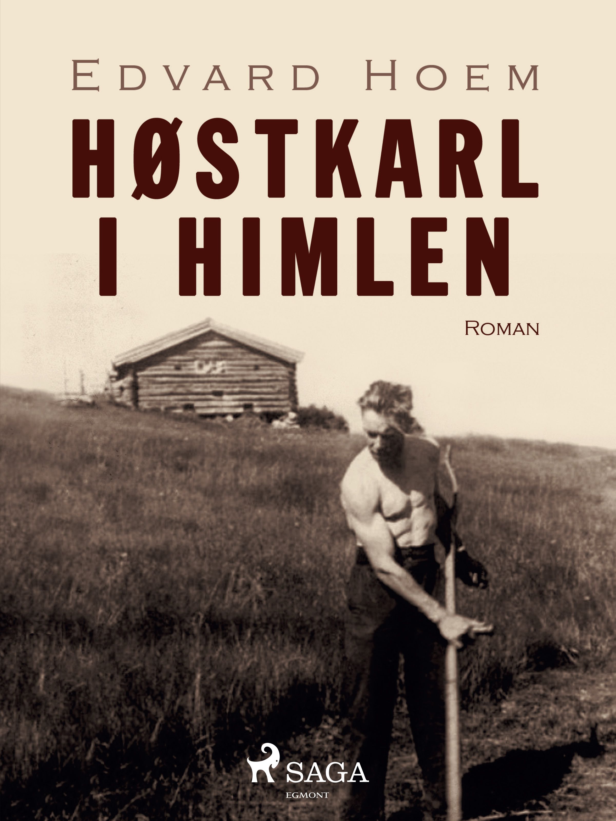Høstkarl i himlen, e-bog af Edvard Hoem
