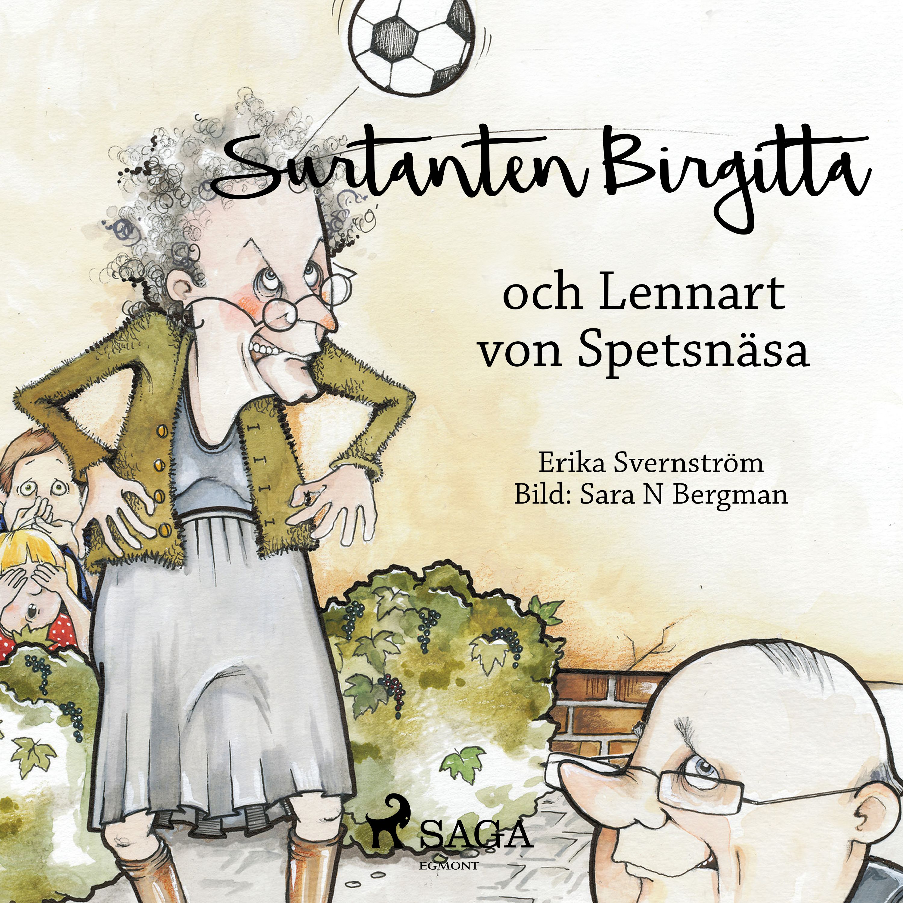Surtanten Birgitta och Lennart von Spetsnäsa, ljudbok av Erika Svernström