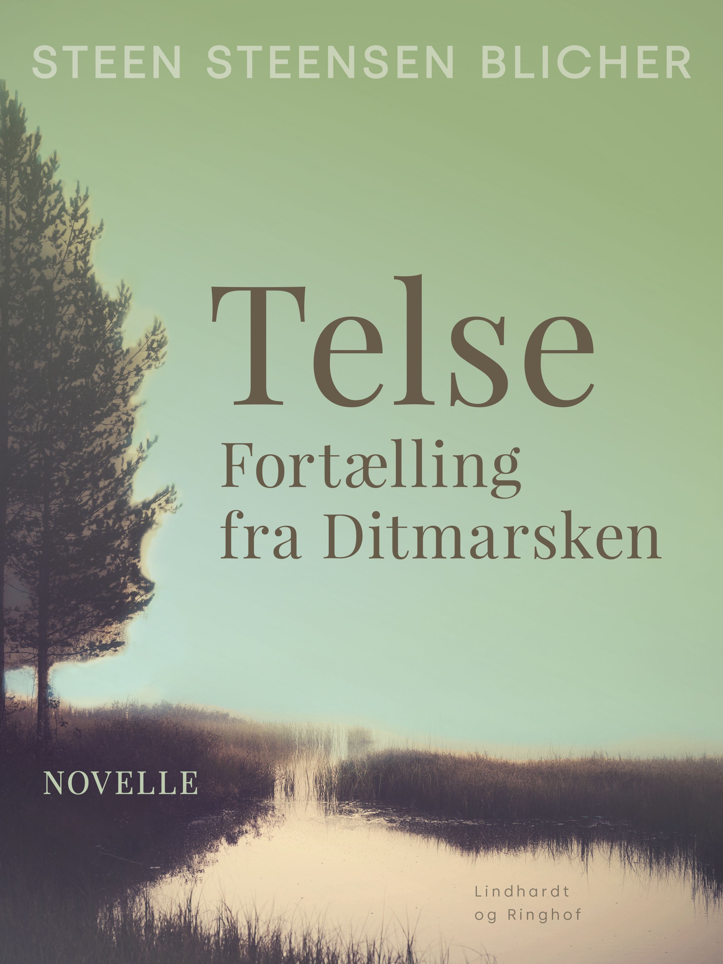 Telse. Fortælling fra Ditmarsken, e-bok av Steen Steensen Blicher