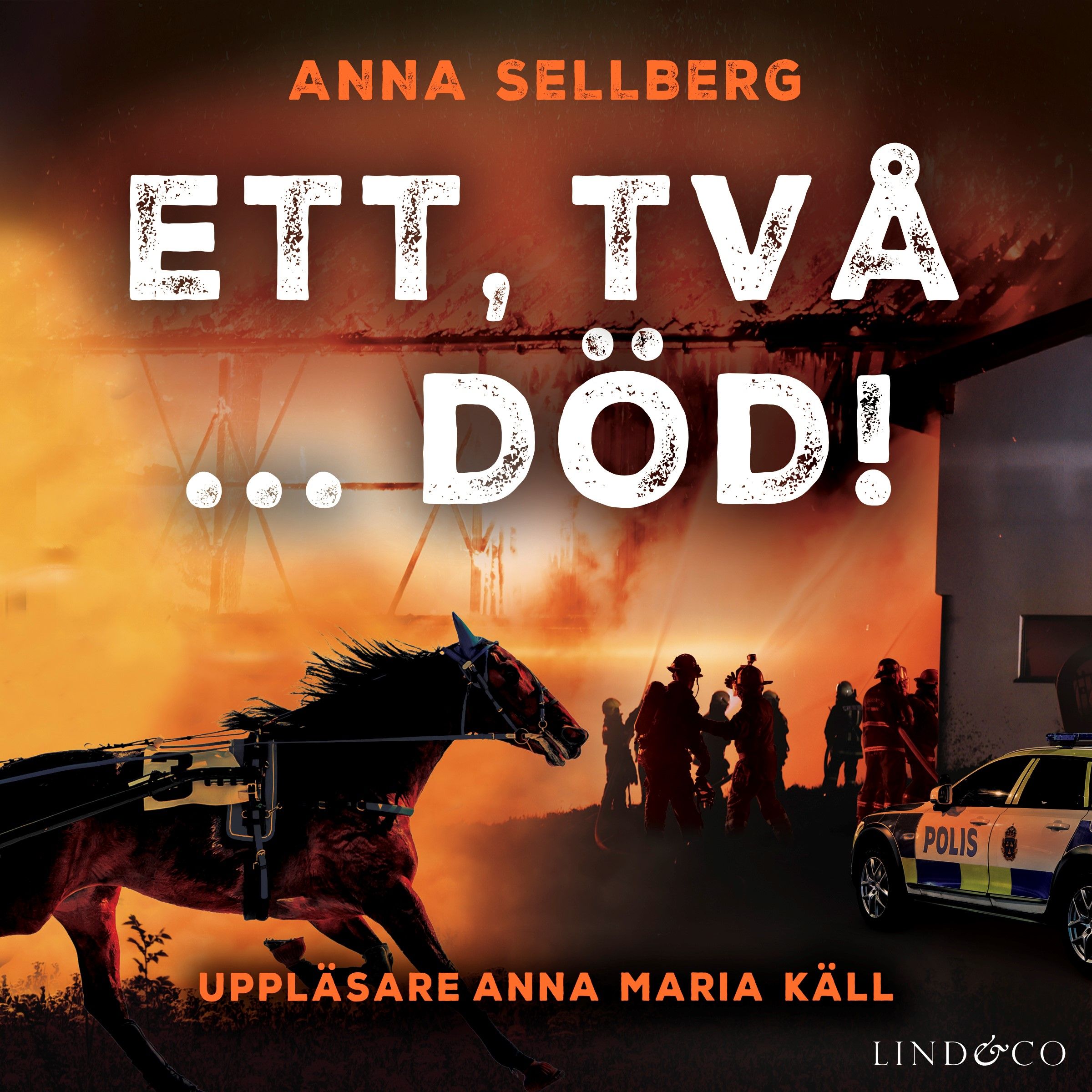 Ett, två ... död!, ljudbok av Anna Sellberg