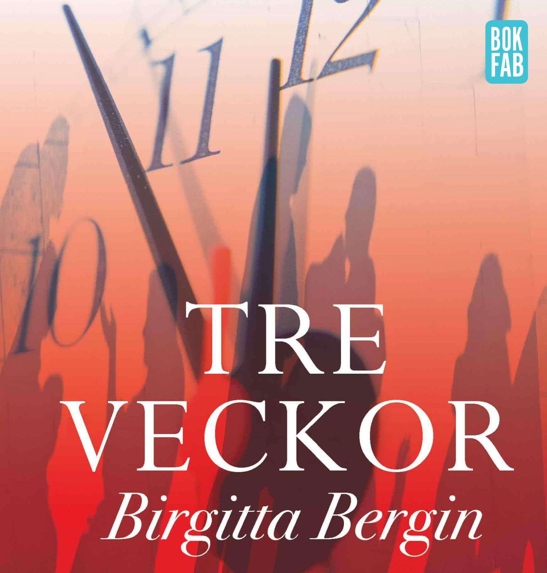 Tre veckor, ljudbok av Birgitta Bergin