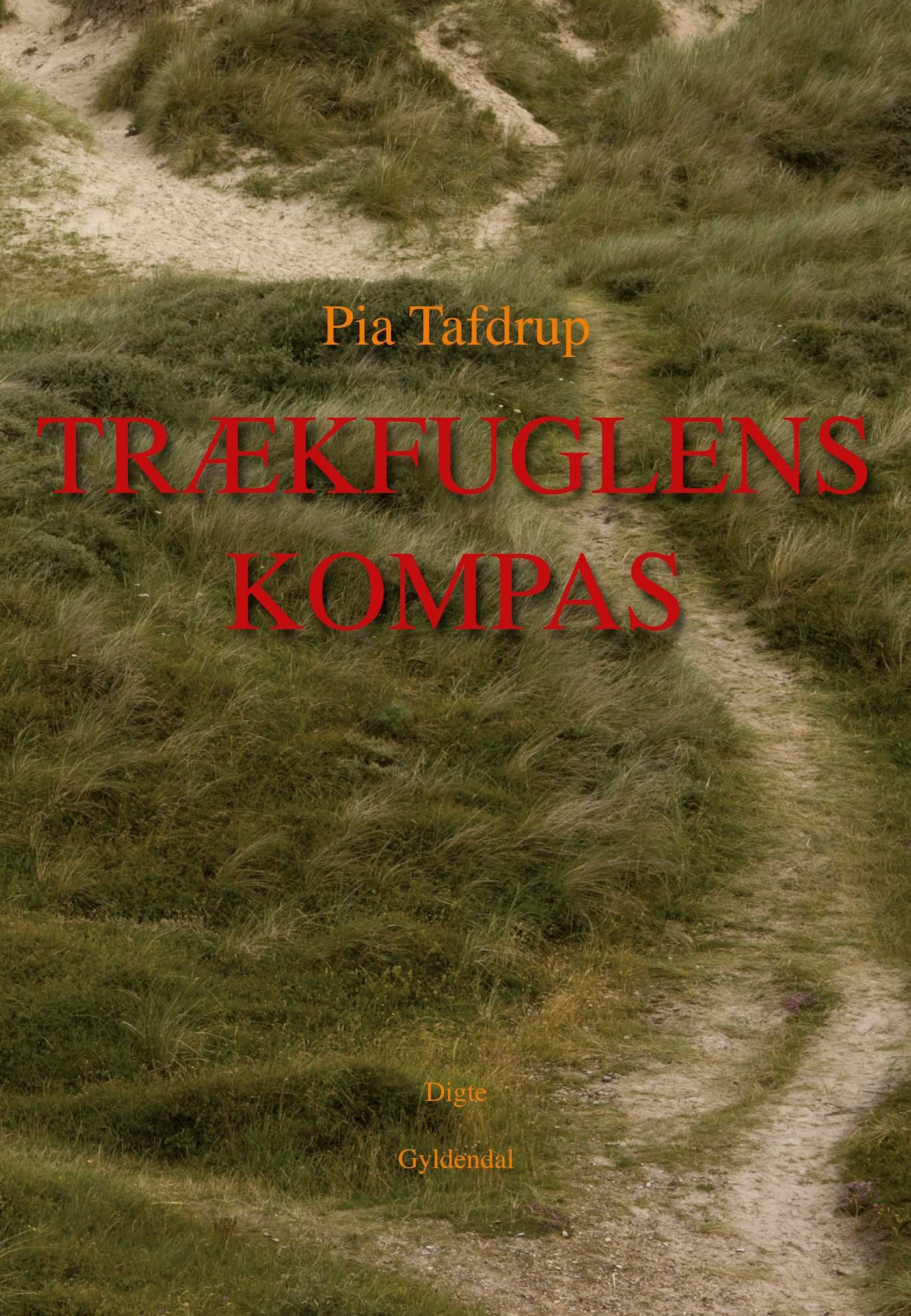 Trækfuglens kompas, e-bok av Pia Tafdrup
