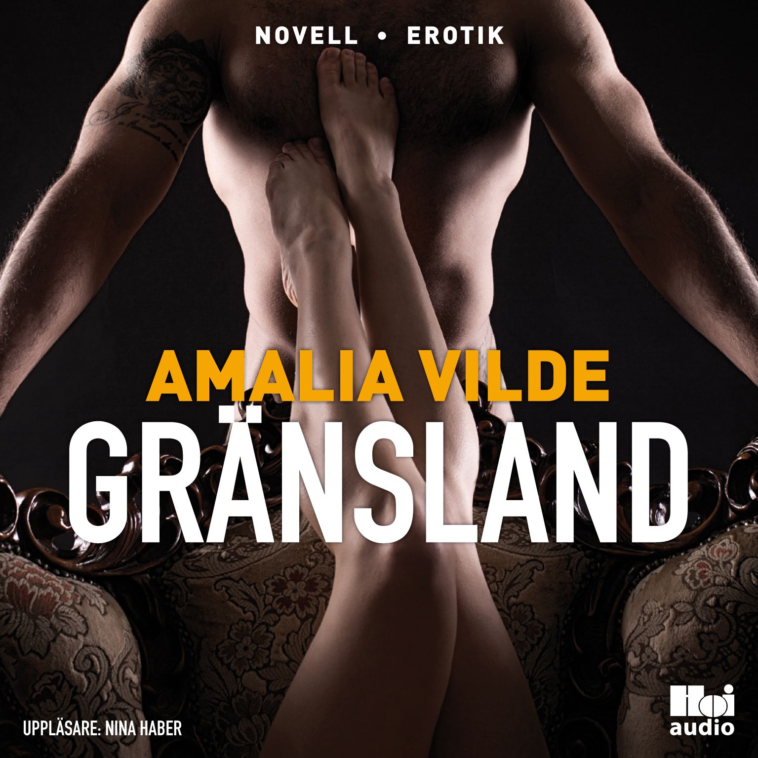 Gränsland, ljudbok av Amalia Vilde