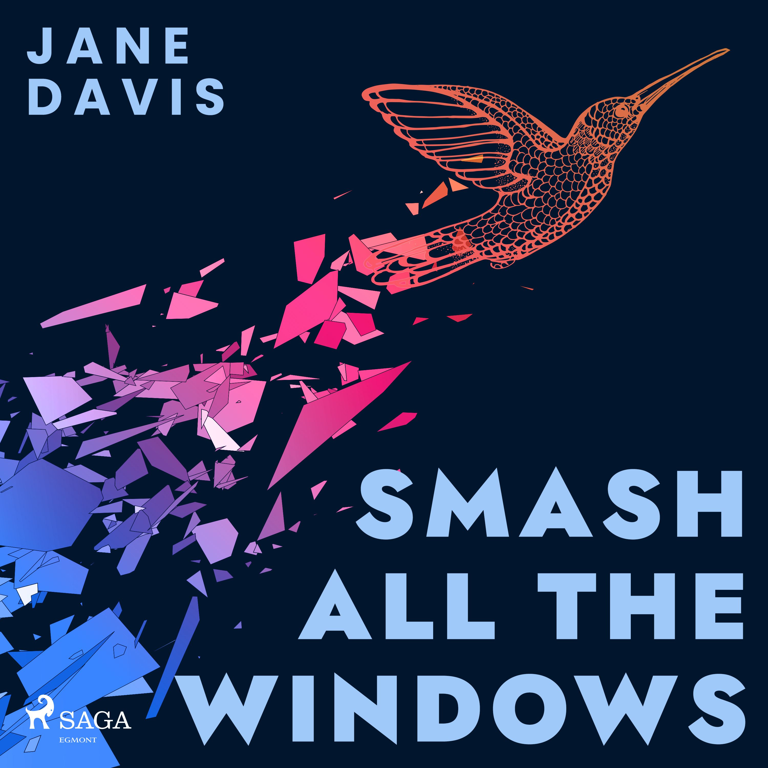 Smash All the Windows, audiobook by Jane Davis