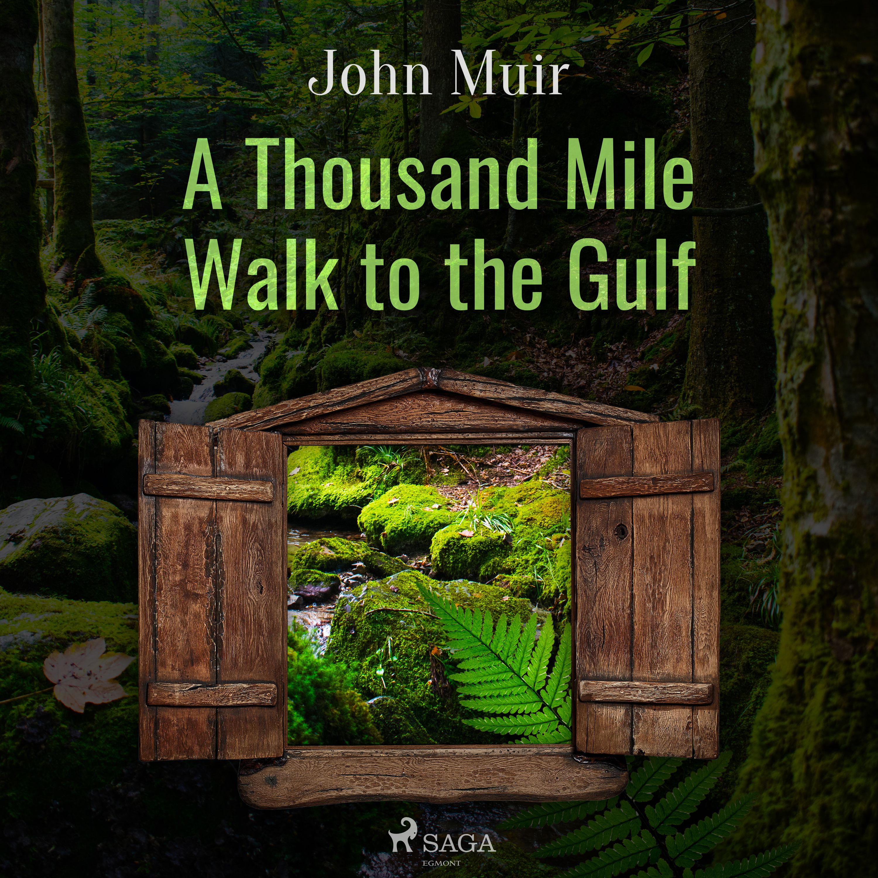 A Thousand Mile Walk to the Gulf, lydbog af John Muir