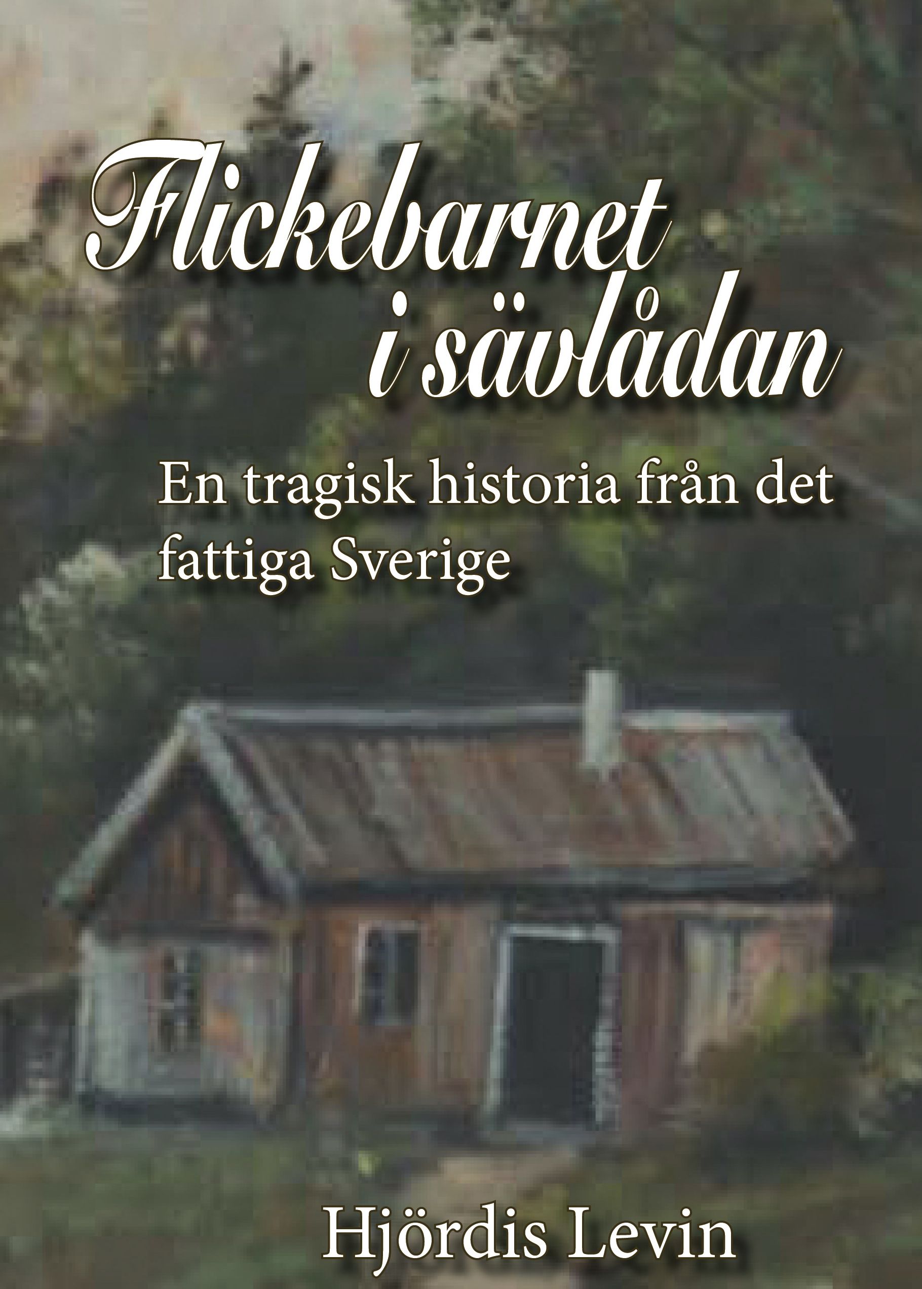 Flickebarnet i sävlådan - en tragisk historia från det fattiga Sverige, e-bog af Hjördis Levin
