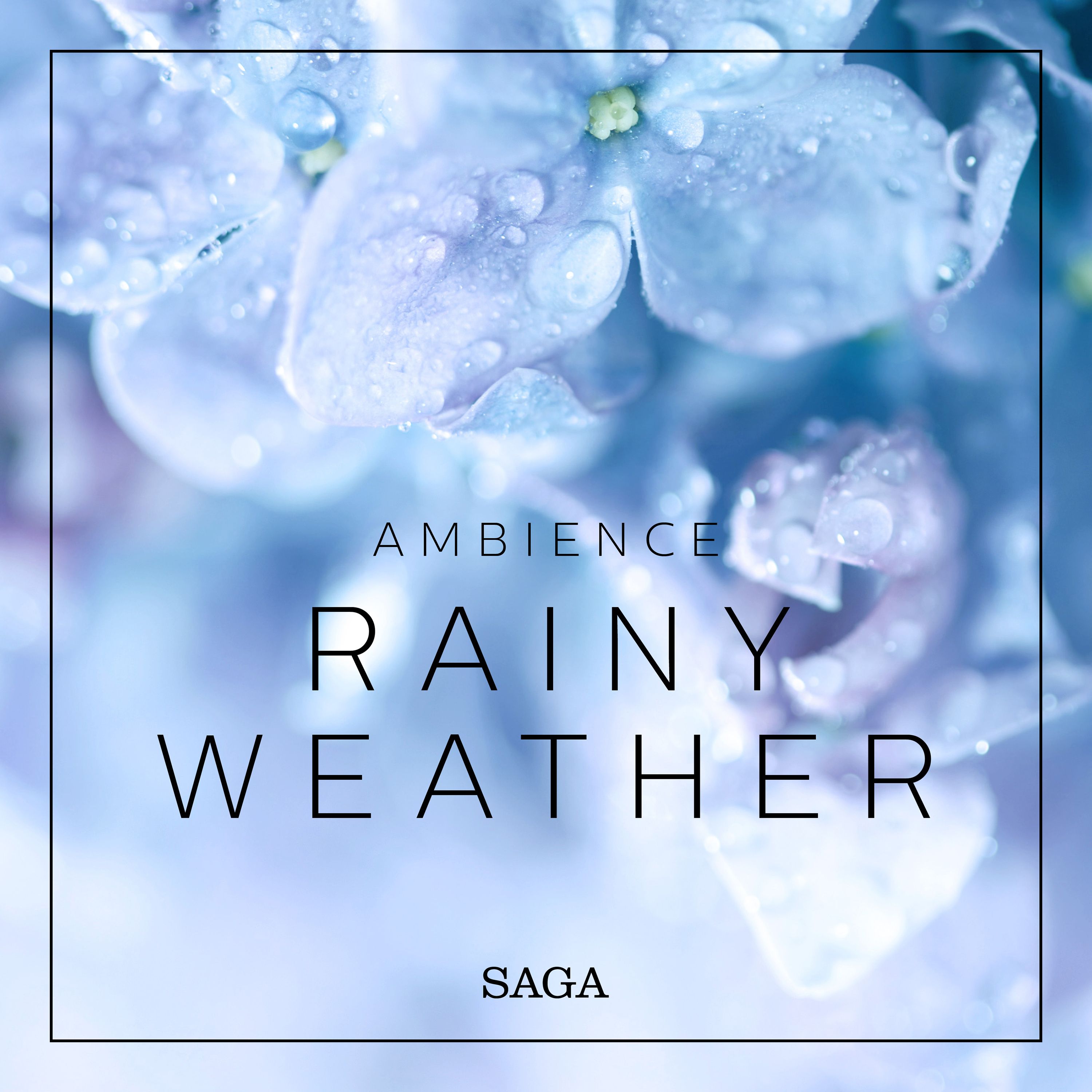 Ambience - Rainy Weather, ljudbok av Rasmus Broe