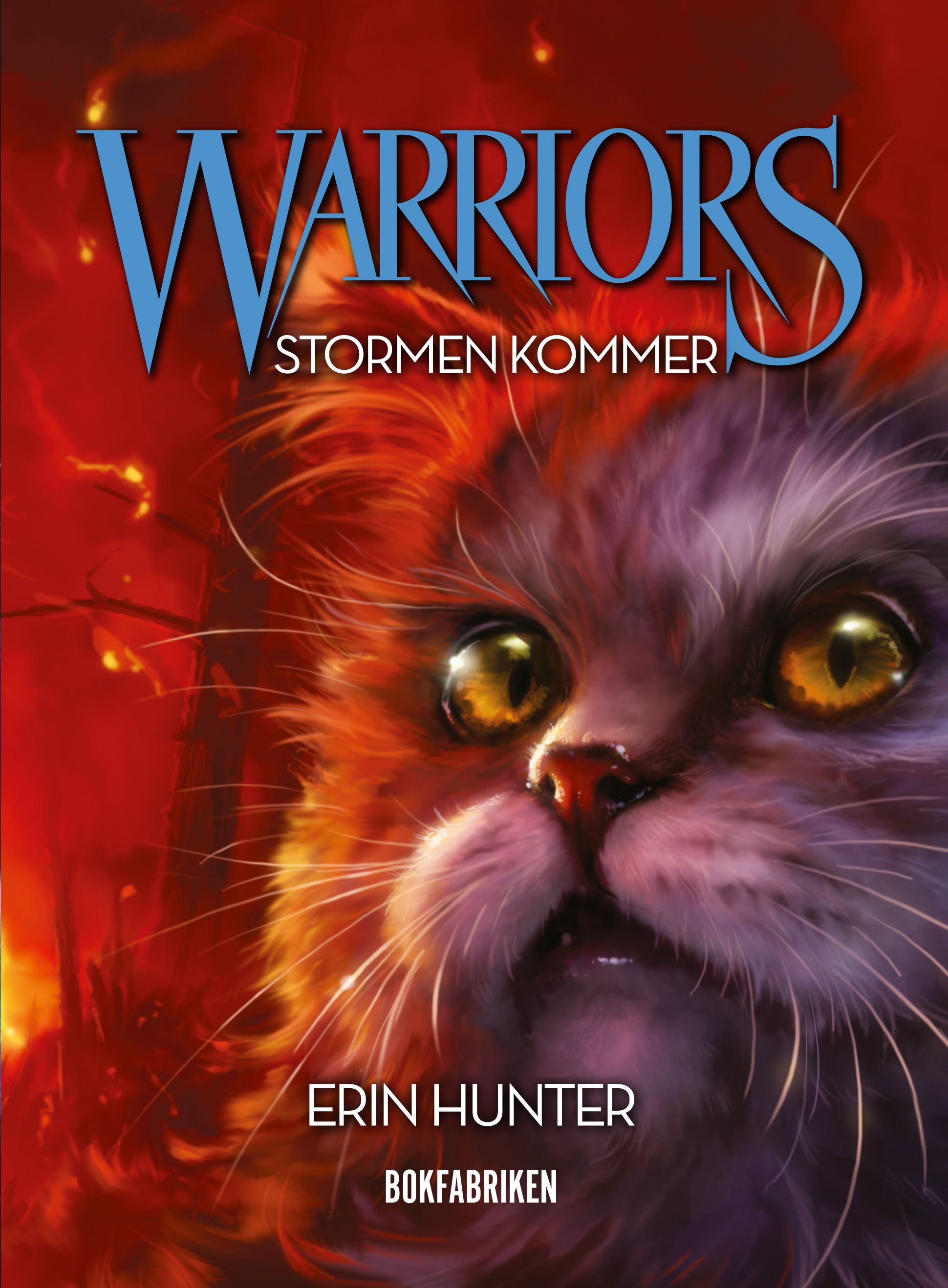 Warriors. Stormen kommer, e-bok av Erin Hunter