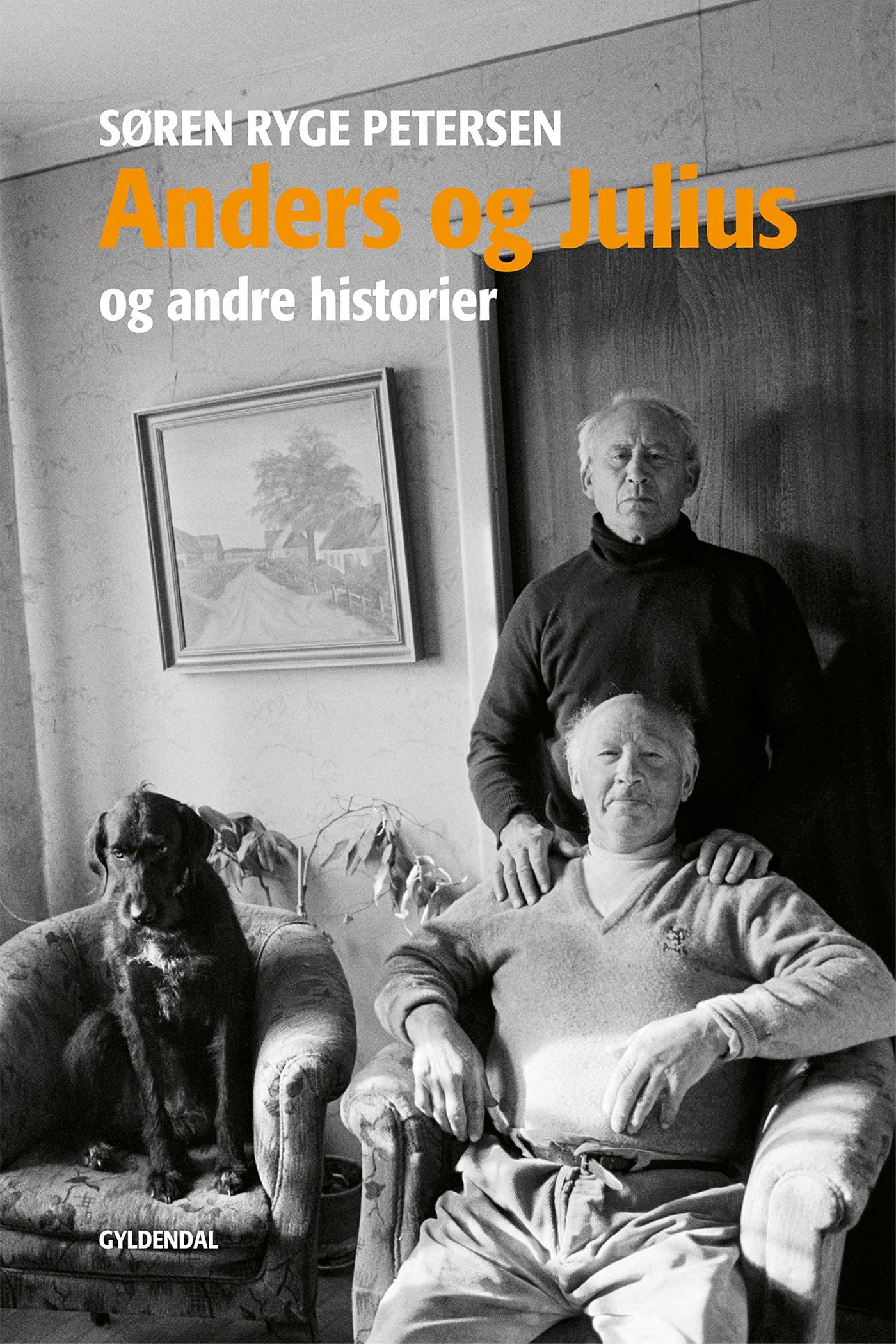 Anders og Julius og andre historier, ljudbok av Søren Ryge Petersen