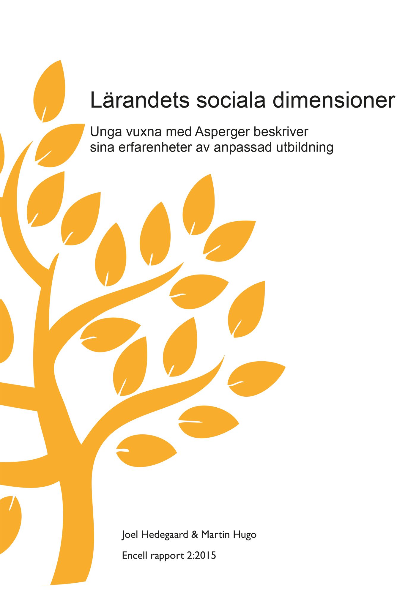 Lärandets sociala dimensioner, eBook