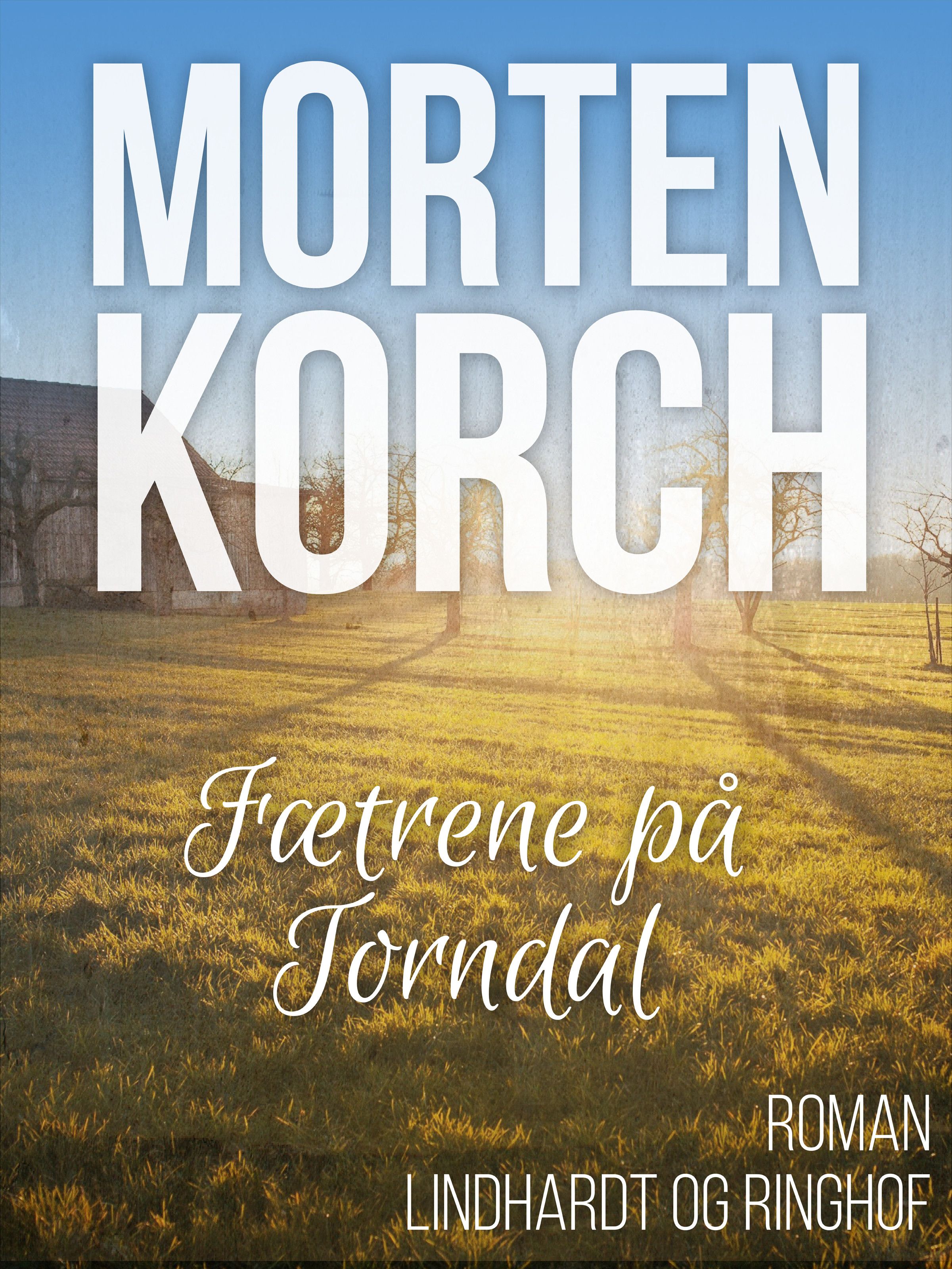 Fætrene på Torndal, ljudbok av Morten Korch