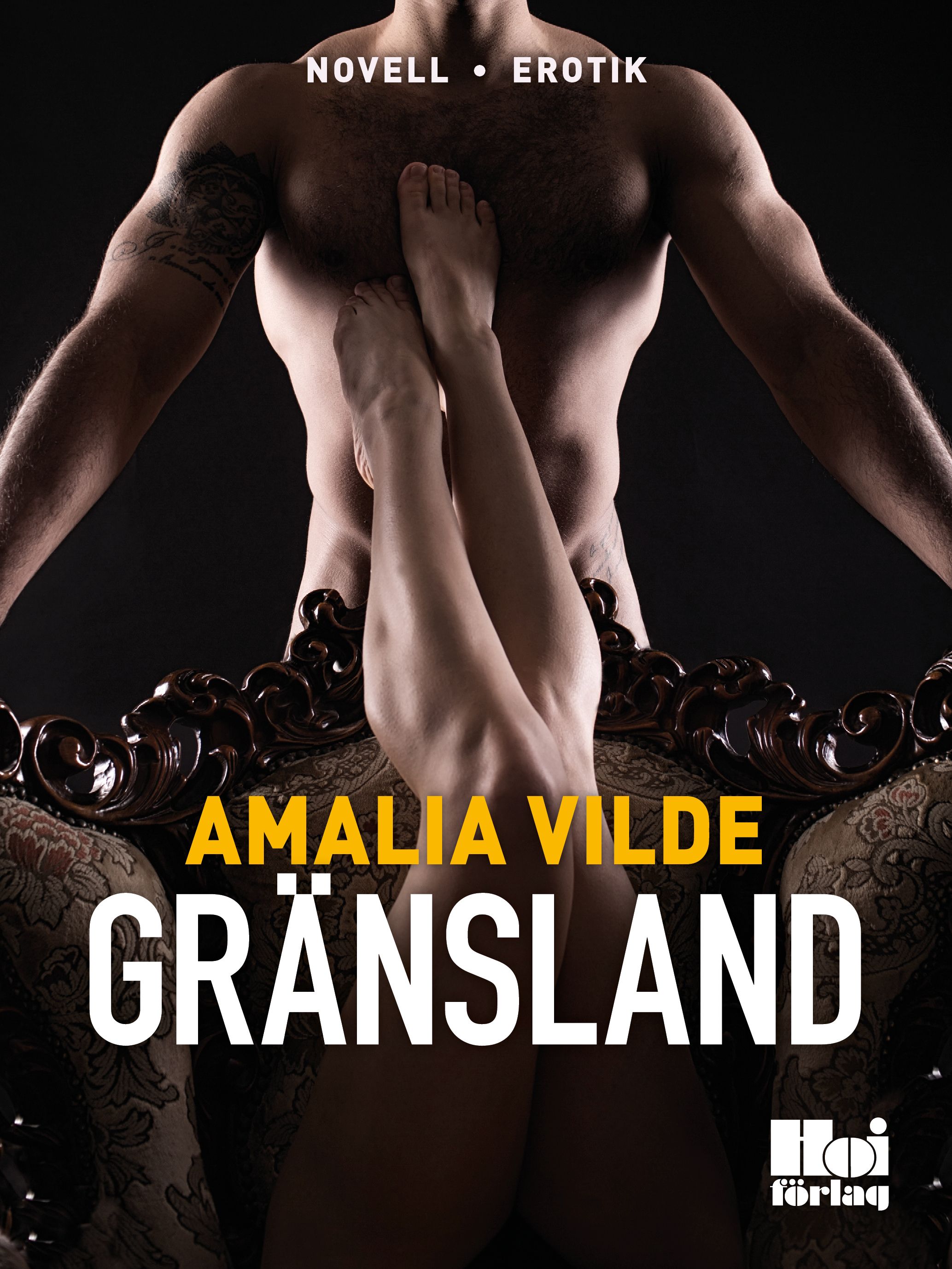 Gränsland, e-bok av Amalia Vilde