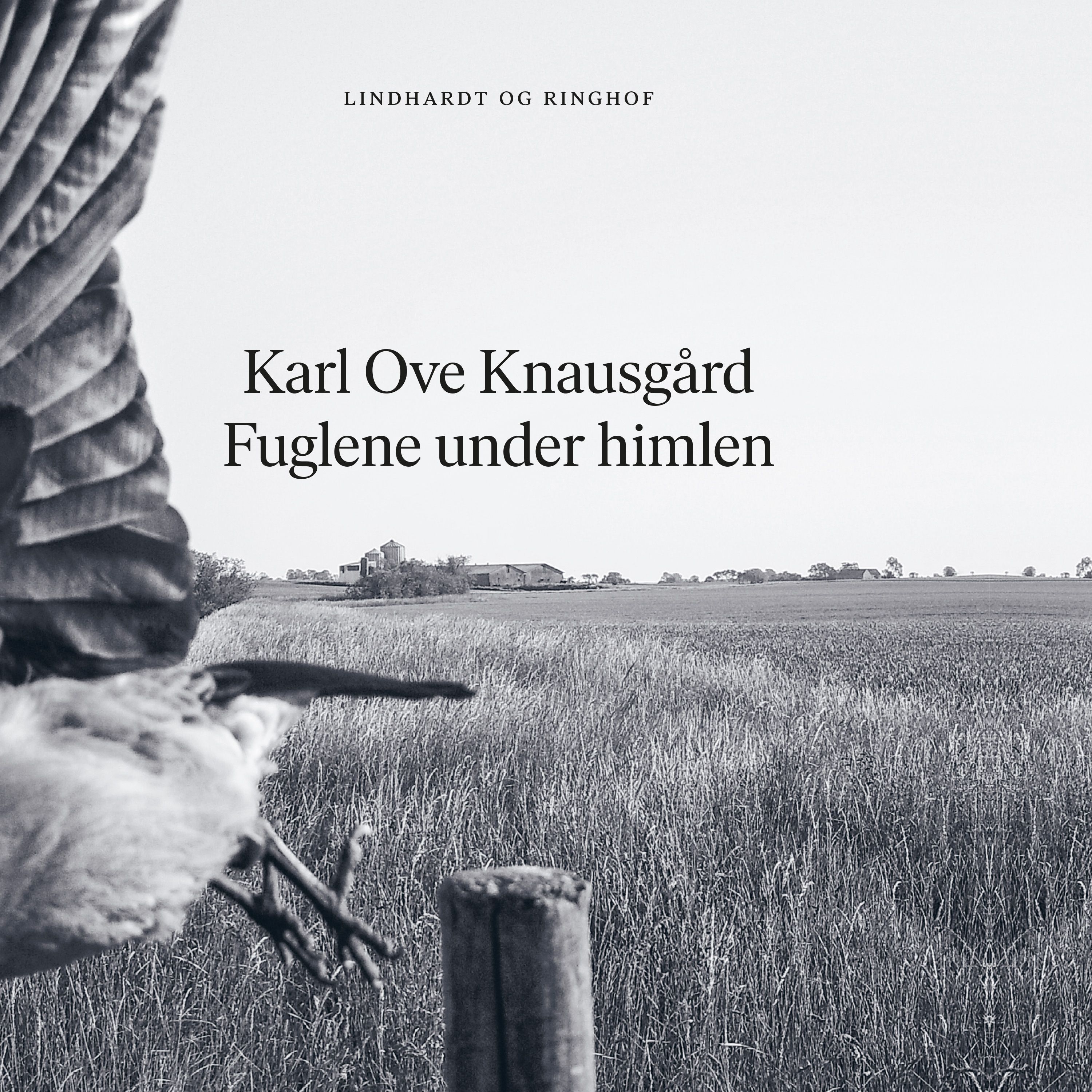 Fuglene under himlen, ljudbok av Karl Ove Knausgård