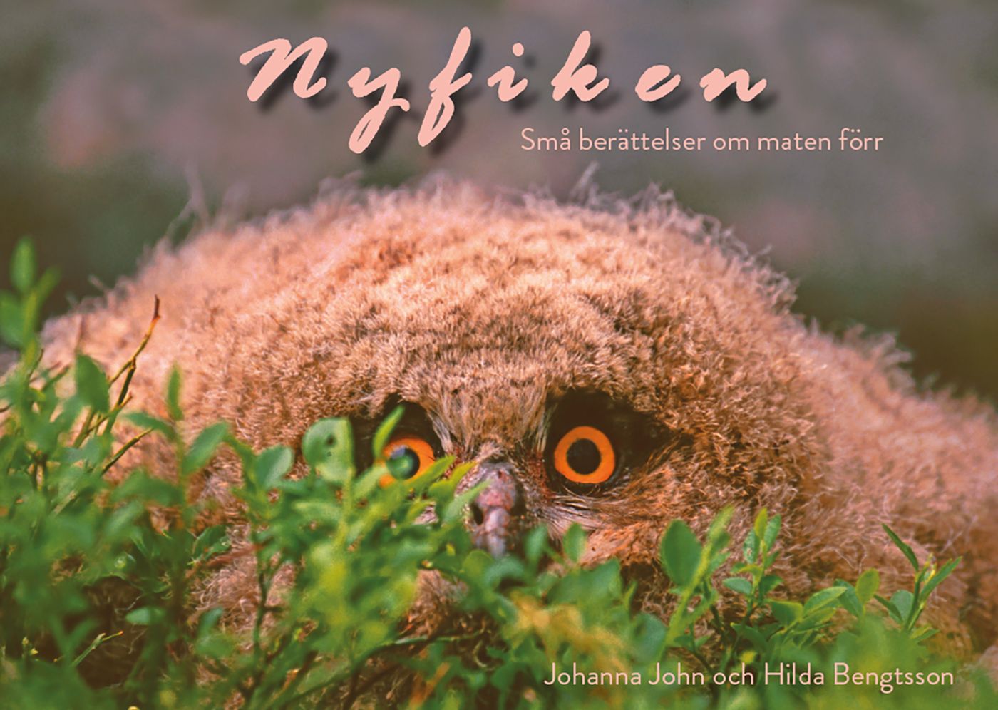 Nyfiken, eBook by Hilda Bengtsson, Johanna John