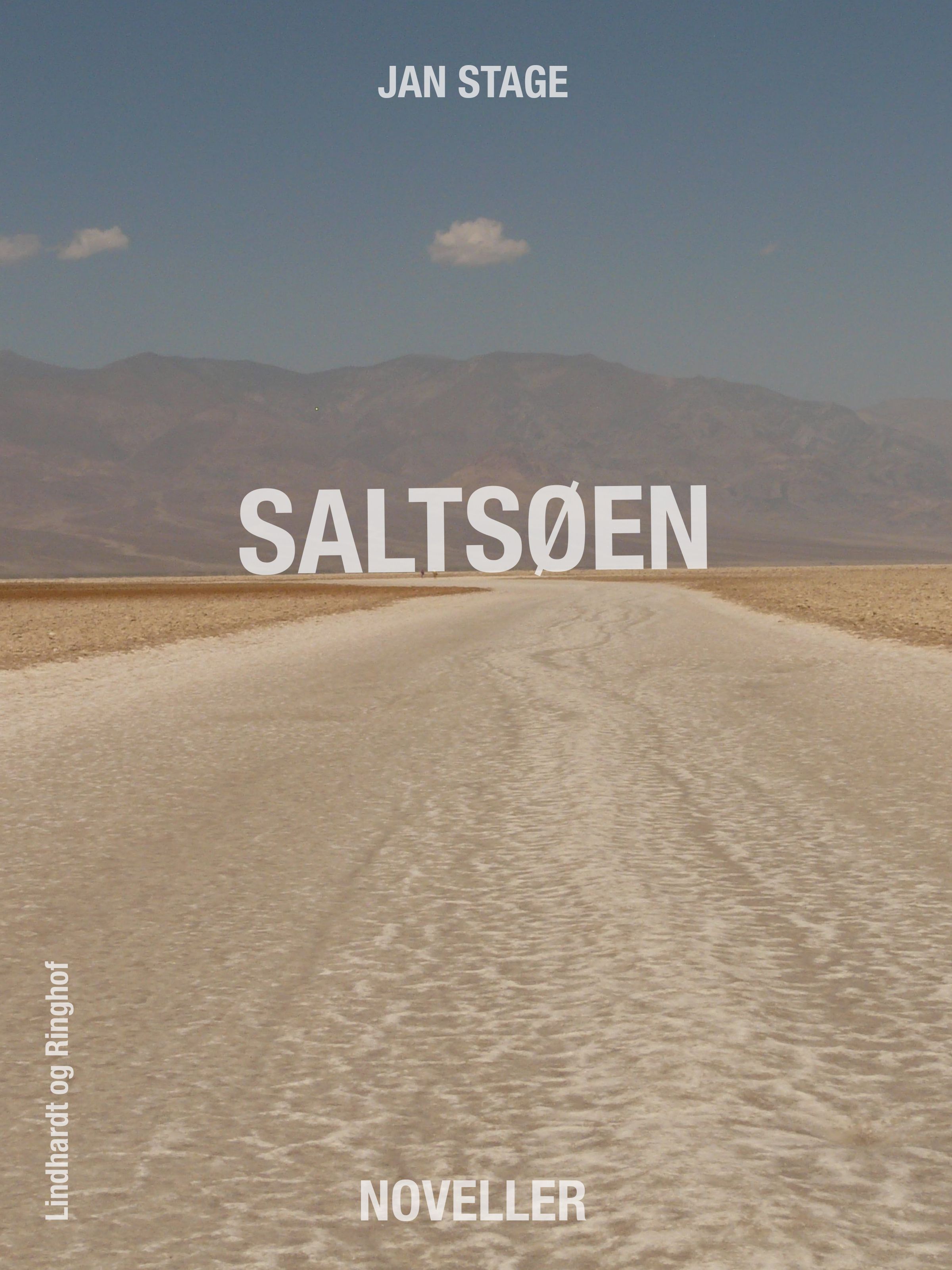 Saltsøen, ljudbok av Jan Stage