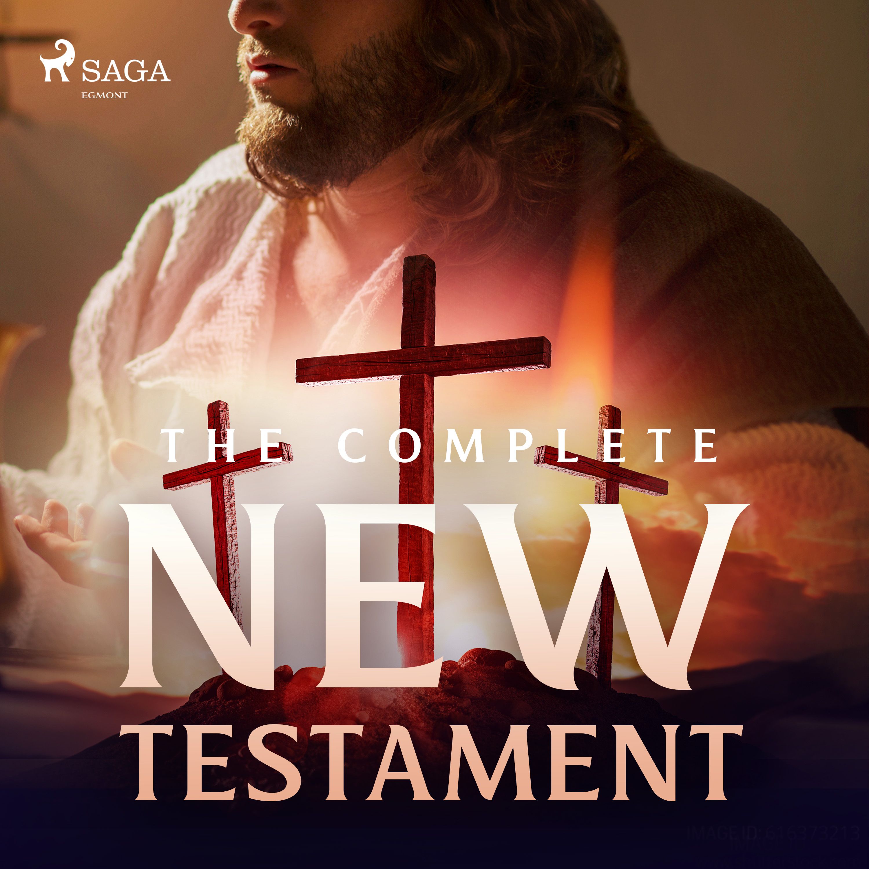 The Complete New Testament, audiobook by Christopher Glyn