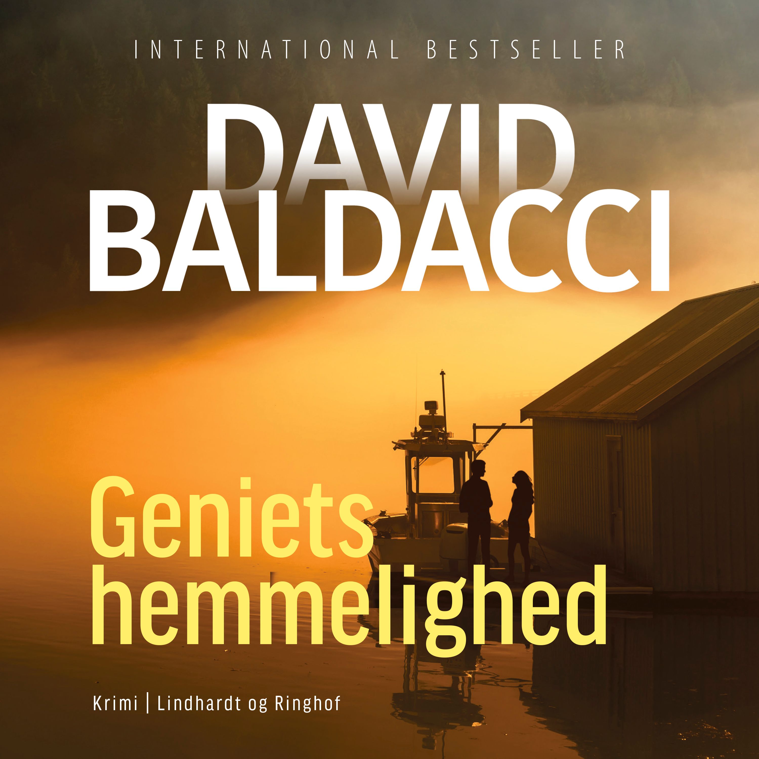 Geniets hemmelighed, audiobook by David Baldacci