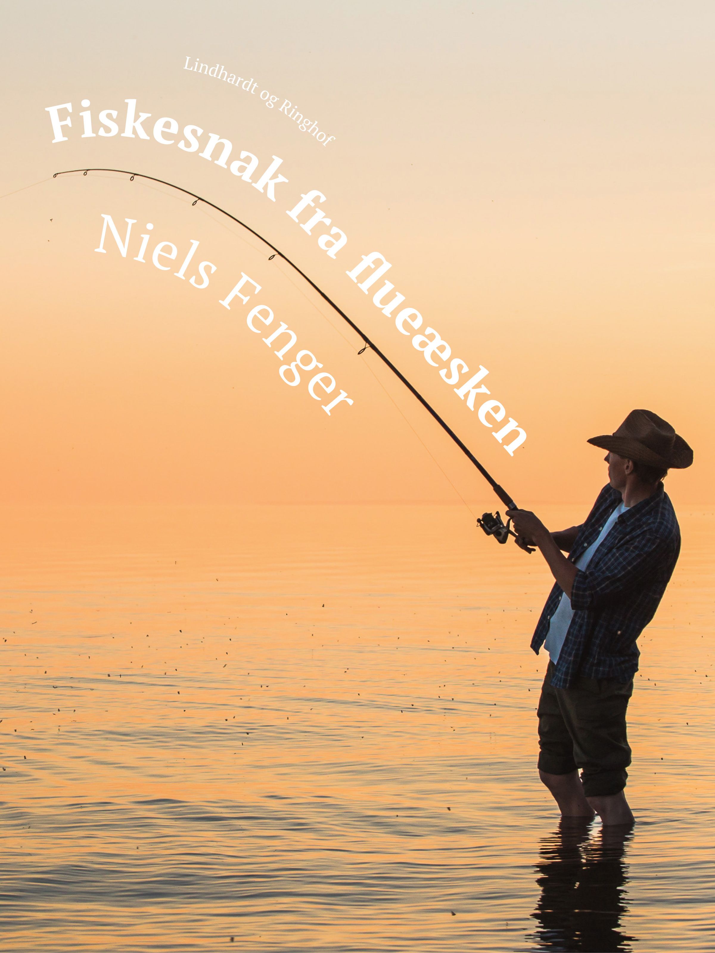 Fiskesnak fra flueæsken, e-bok av Niels Fenger