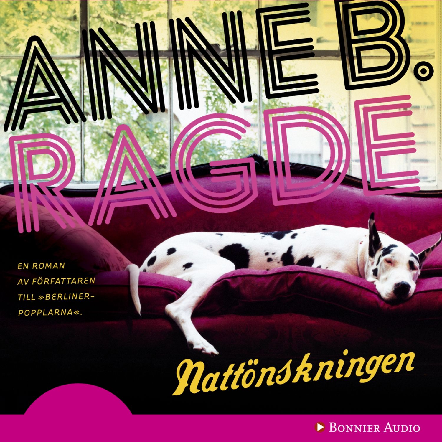 Nattönskningen, audiobook by Anne B. Ragde