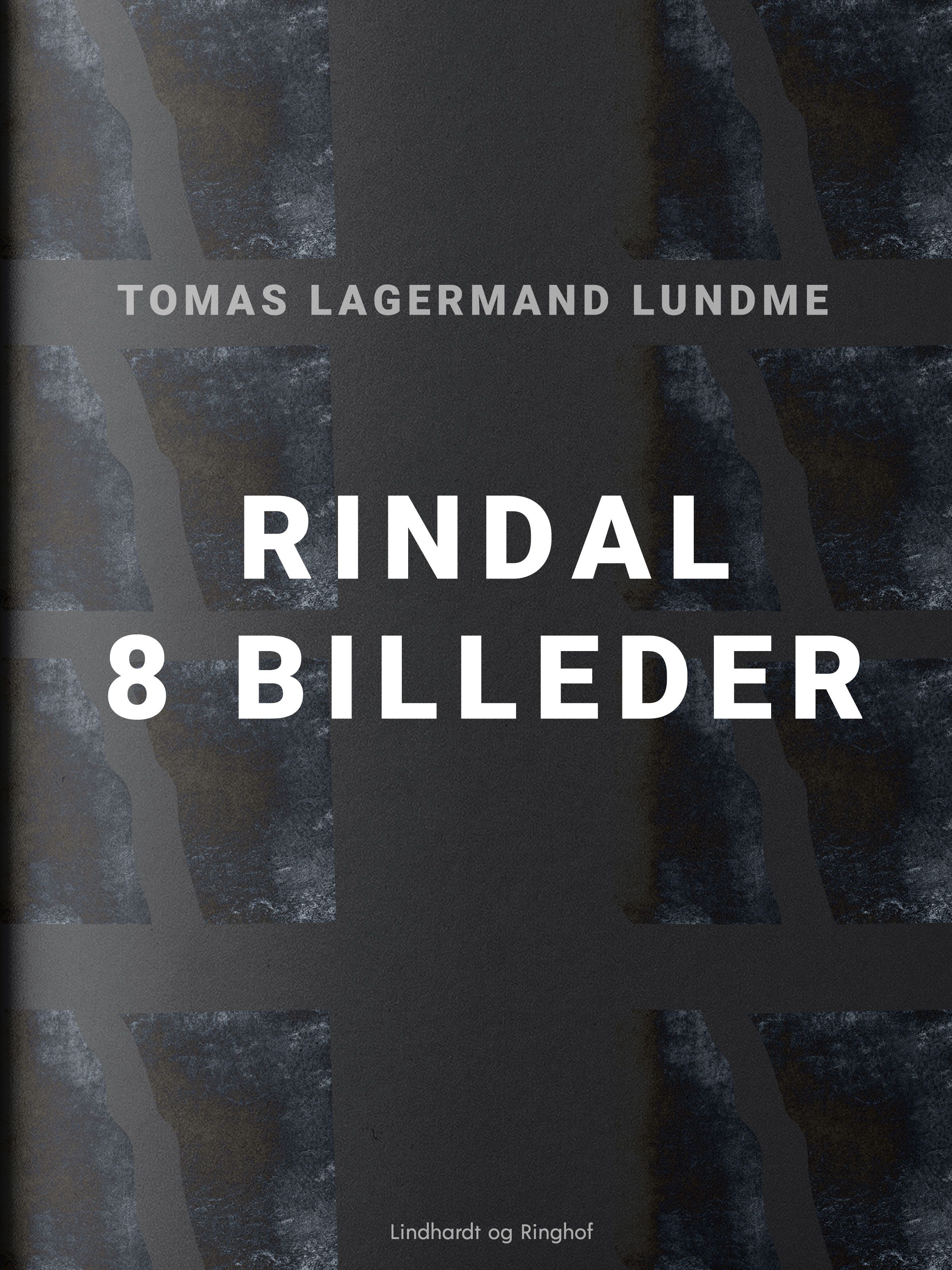 Rindal - 8 billeder, e-bok av Tomas Lagermand Lundme
