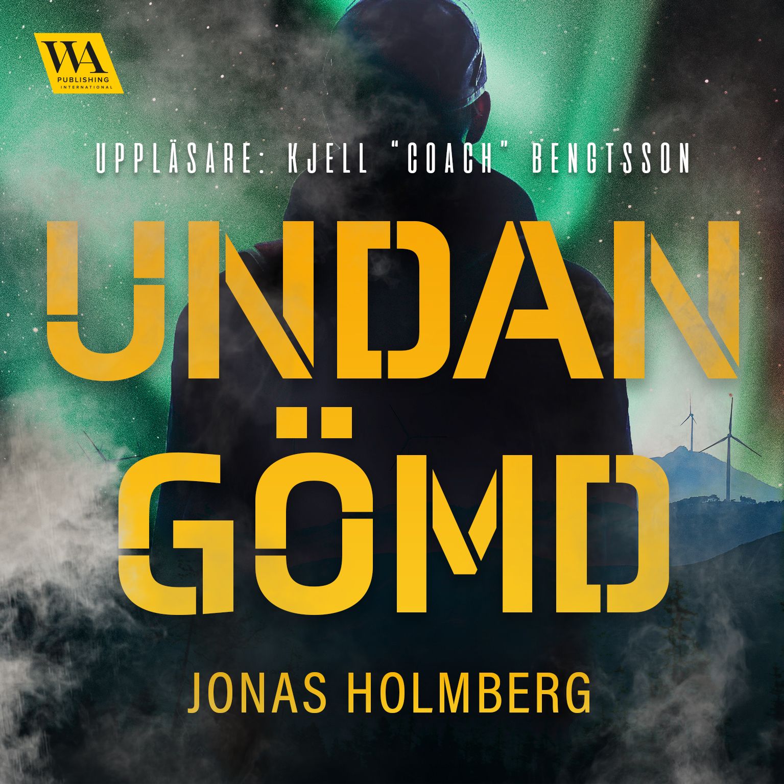 Undangömd, audiobook by Jonas Holmberg