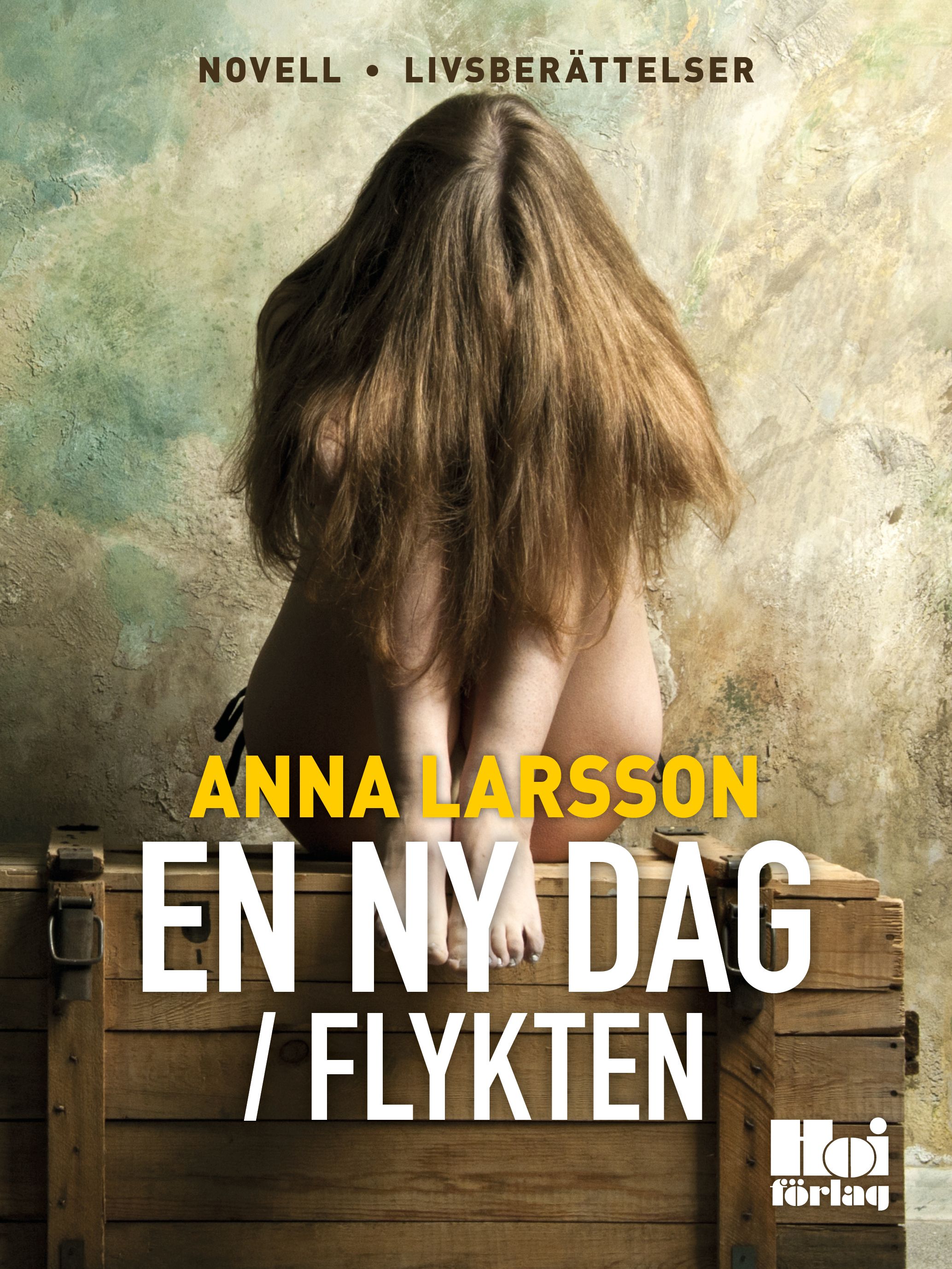 En ny dag / Flykten, e-bog af Anna Larsson
