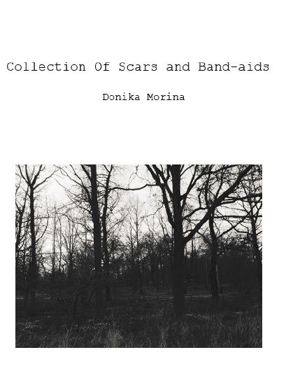 Collection of Scars and Band-aids, eBook by Donika Morina