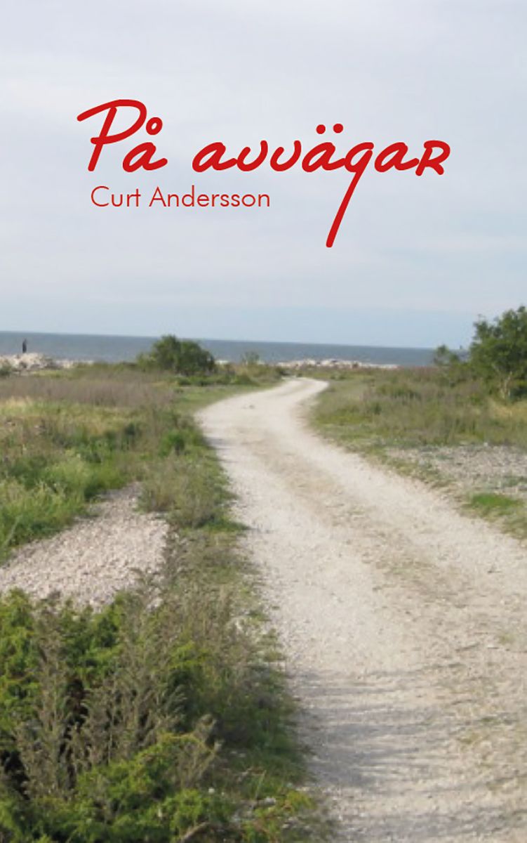 På avvägar, e-bog af Curt Andersson