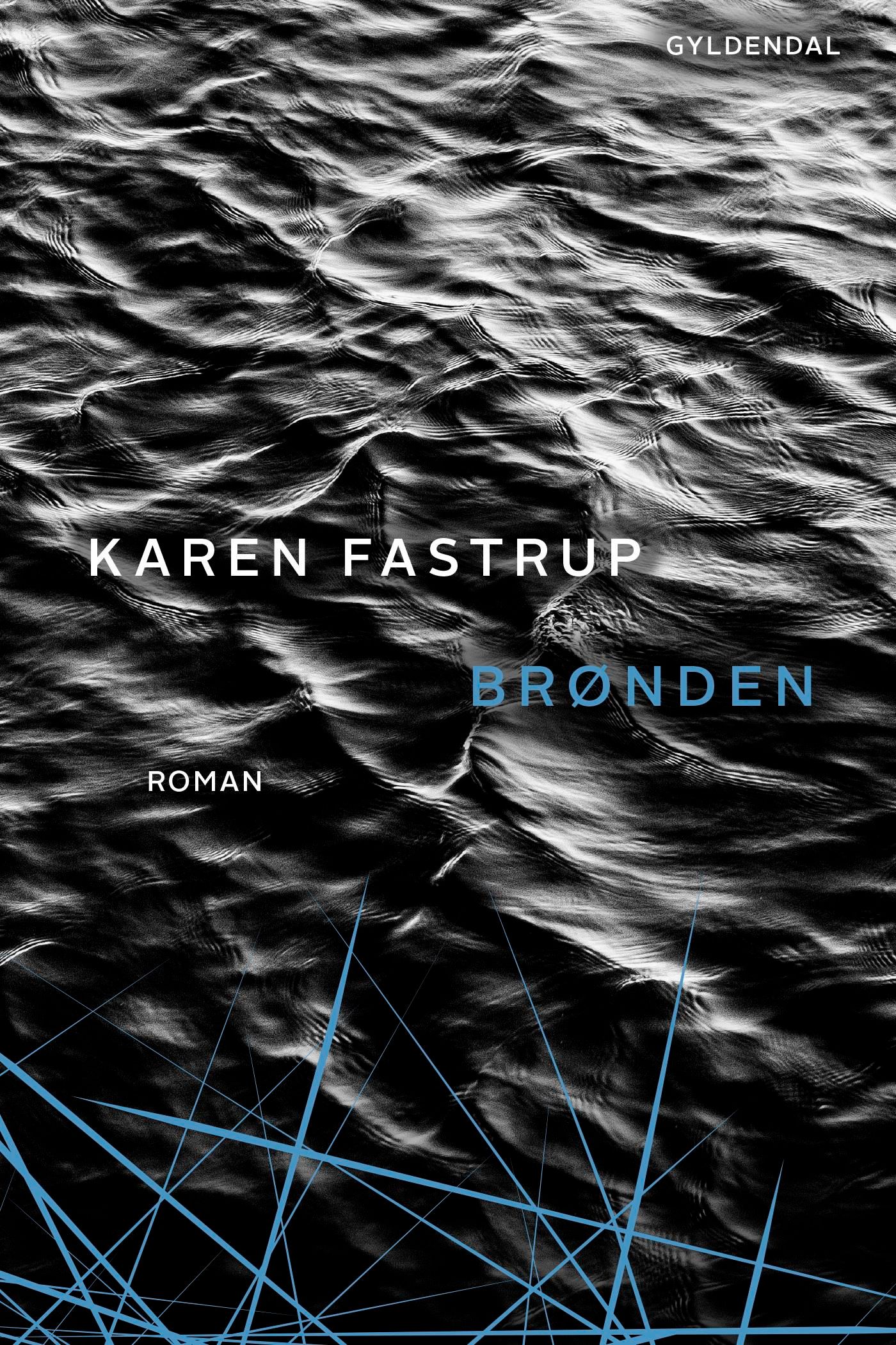 Brønden, e-bok av Karen Fastrup