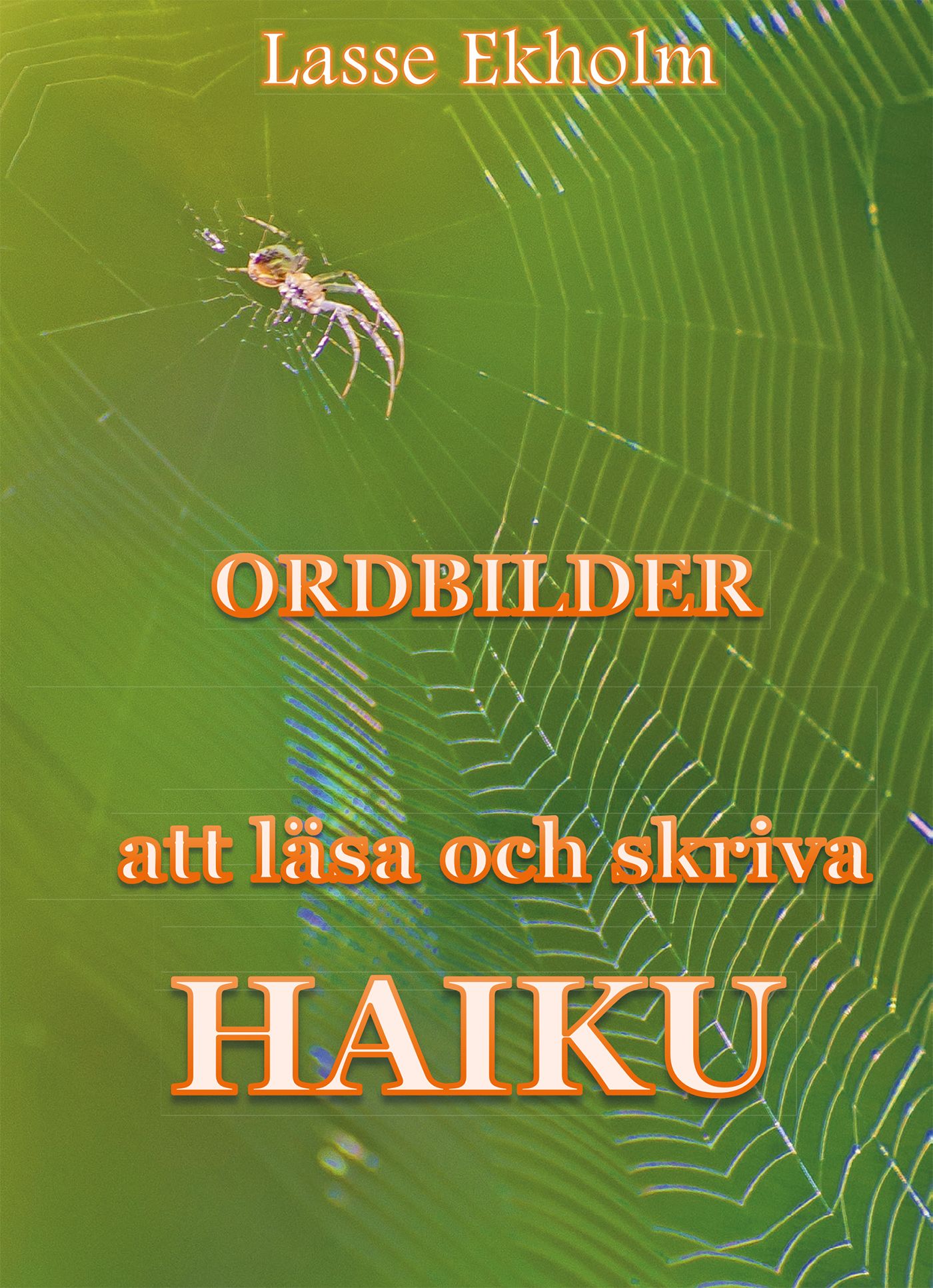 Ordbilder, e-bok av Lasse Ekholm