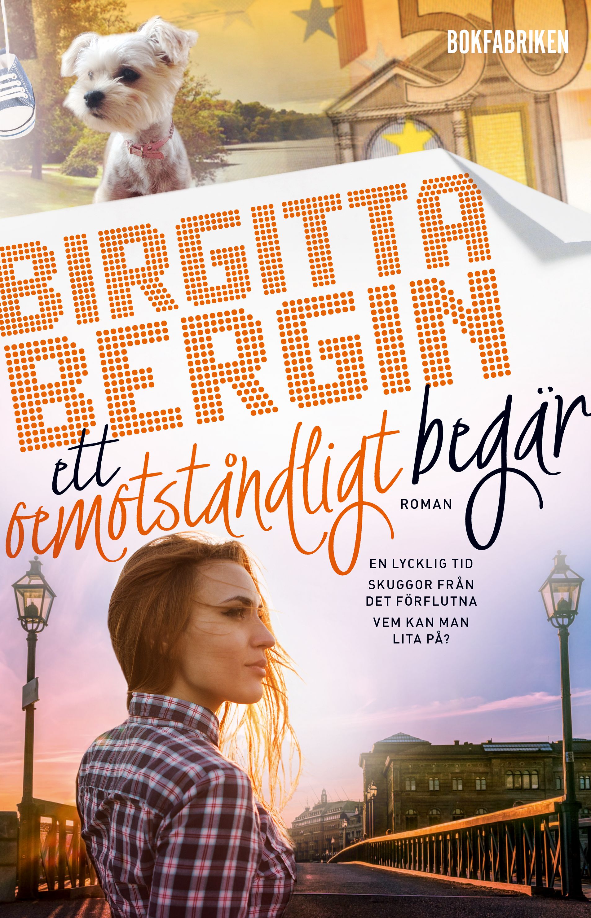 Ett oemotståndligt begär, e-bog af Birgitta Bergin