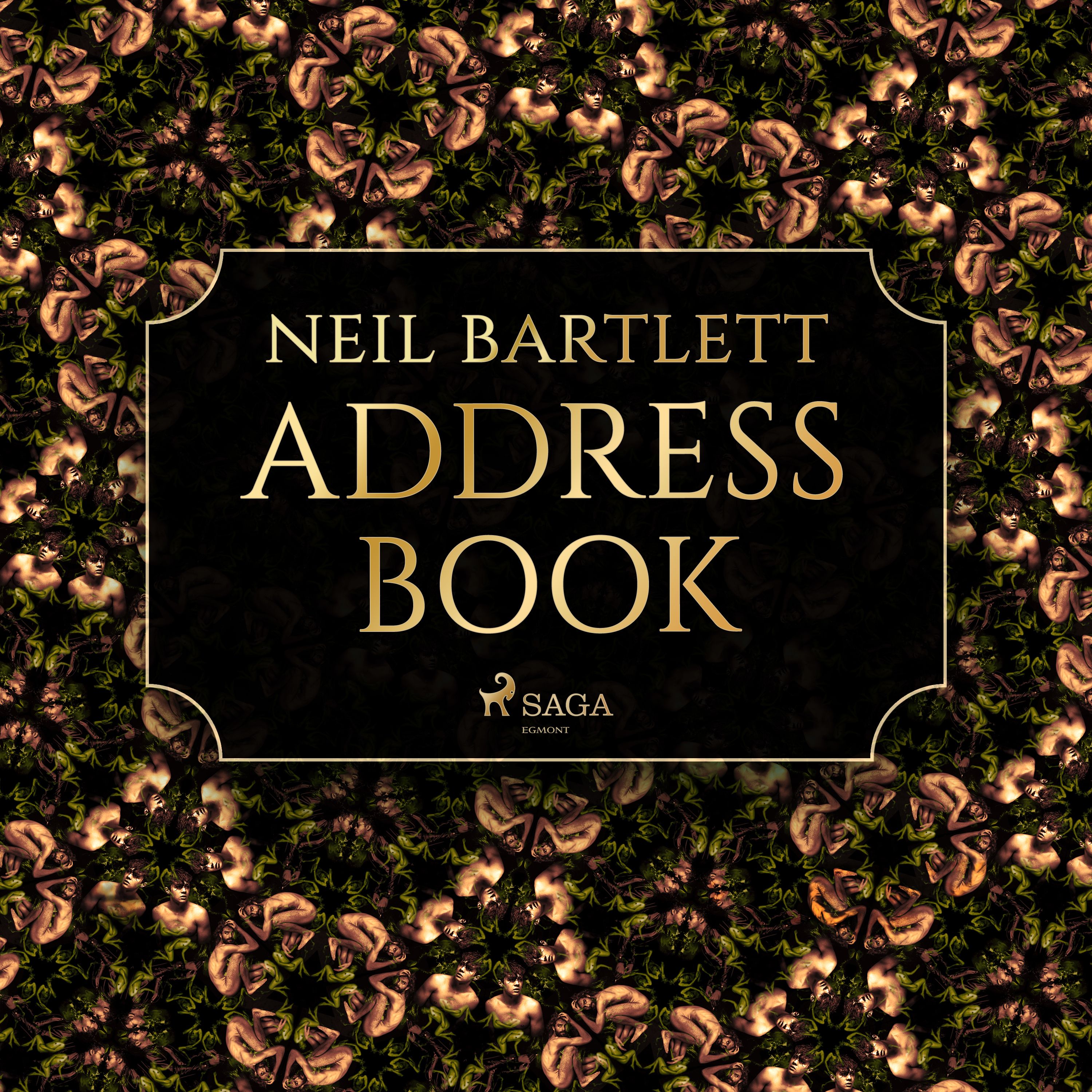 Address Book, lydbog af Neil Bartlett