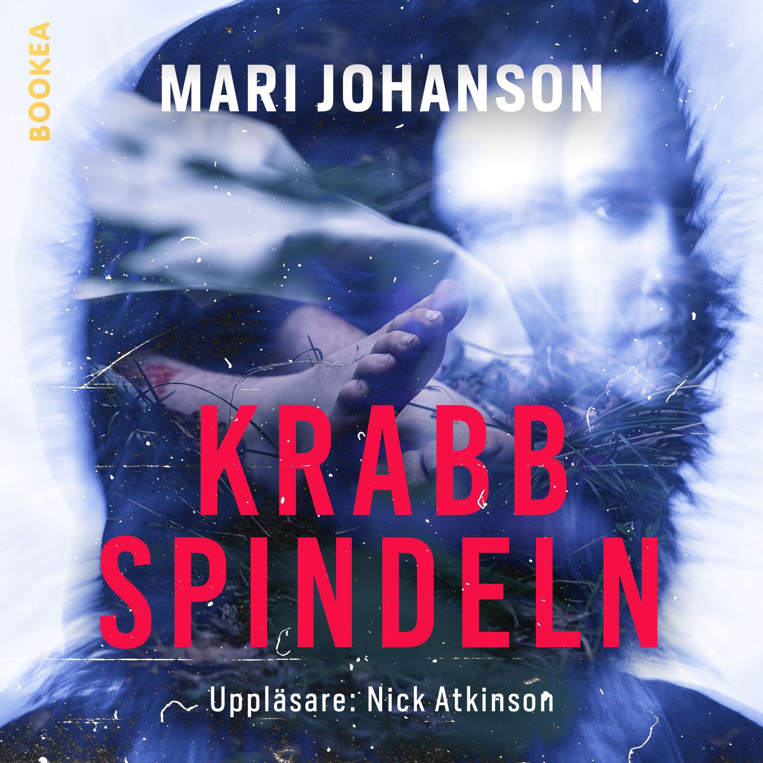 Krabbspindeln, e-bok av Mari Johanson