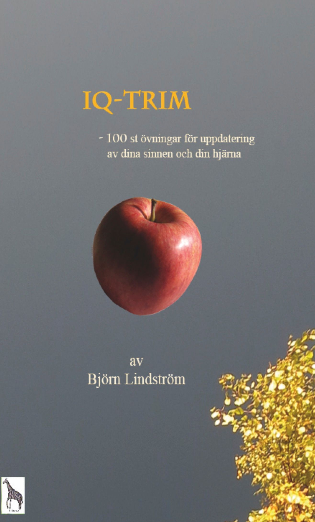 IQ-Trim, e-bok av Björn Lindström