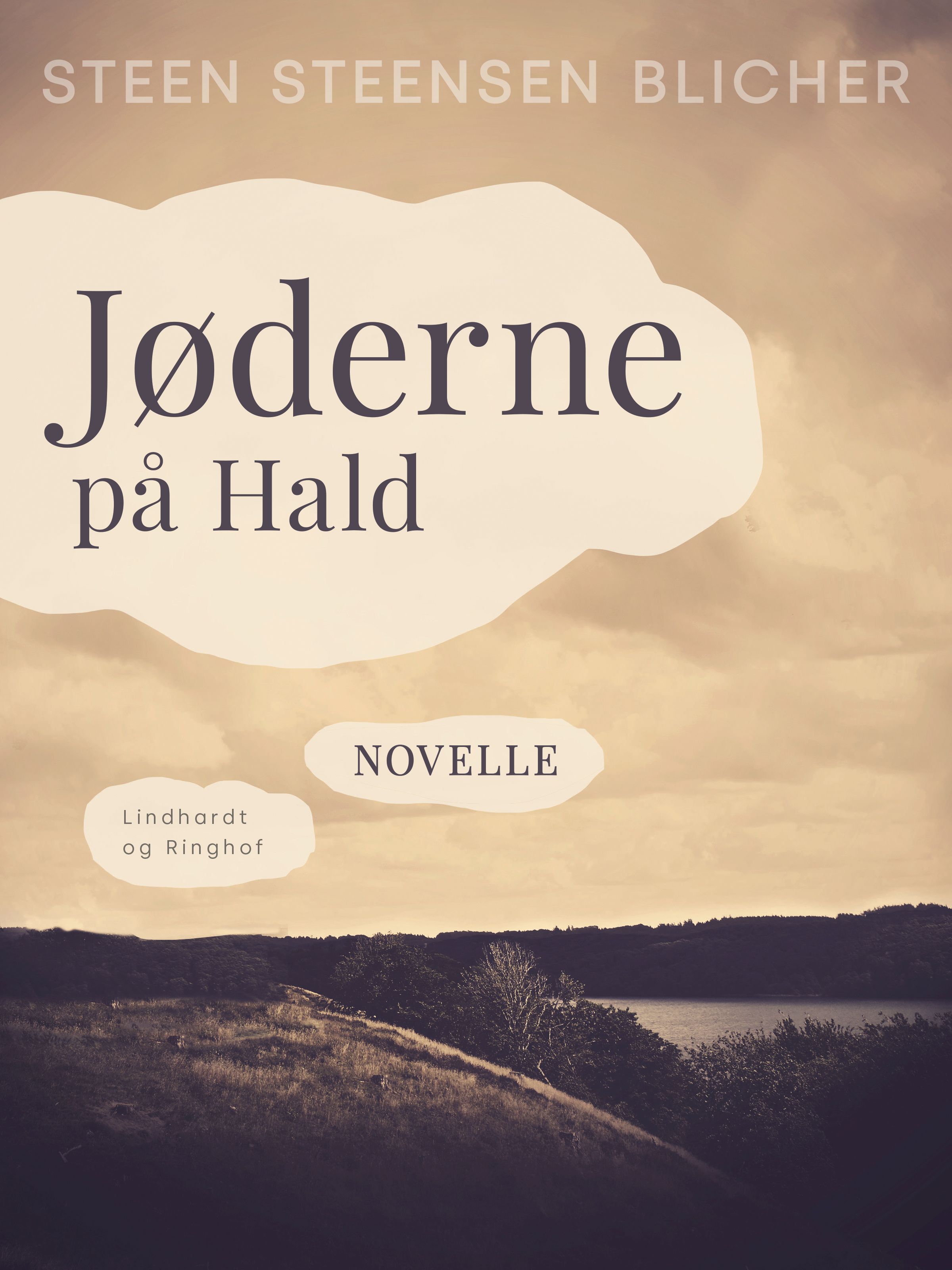 Jøderne på Hald, e-bog af Steen Steensen Blicher