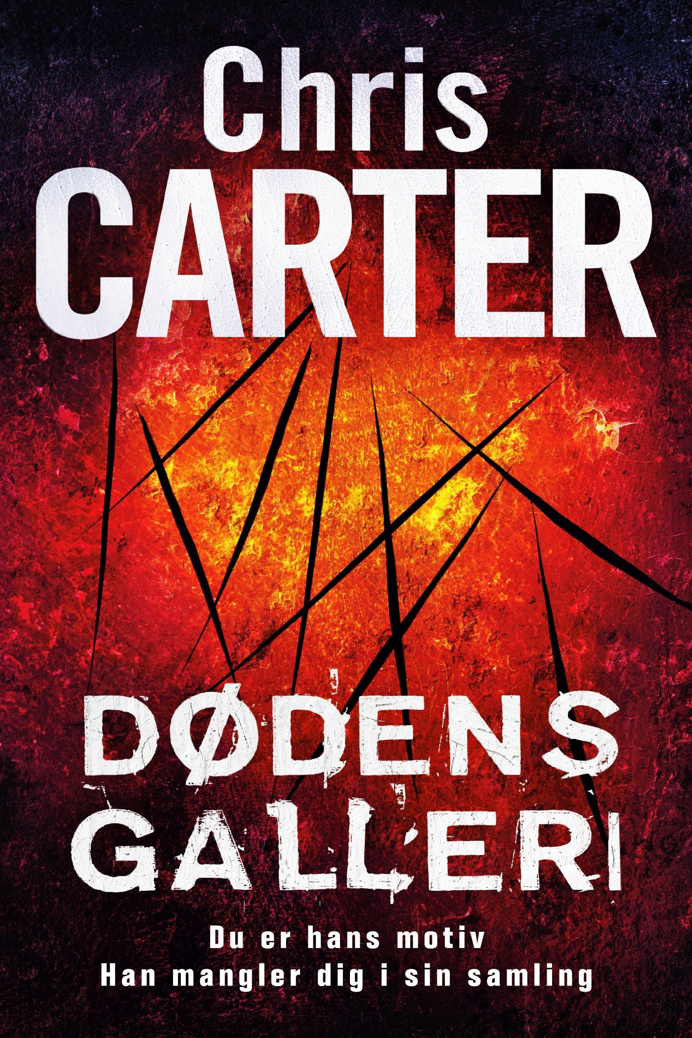 Dødens galleri, e-bog af Chris Carter
