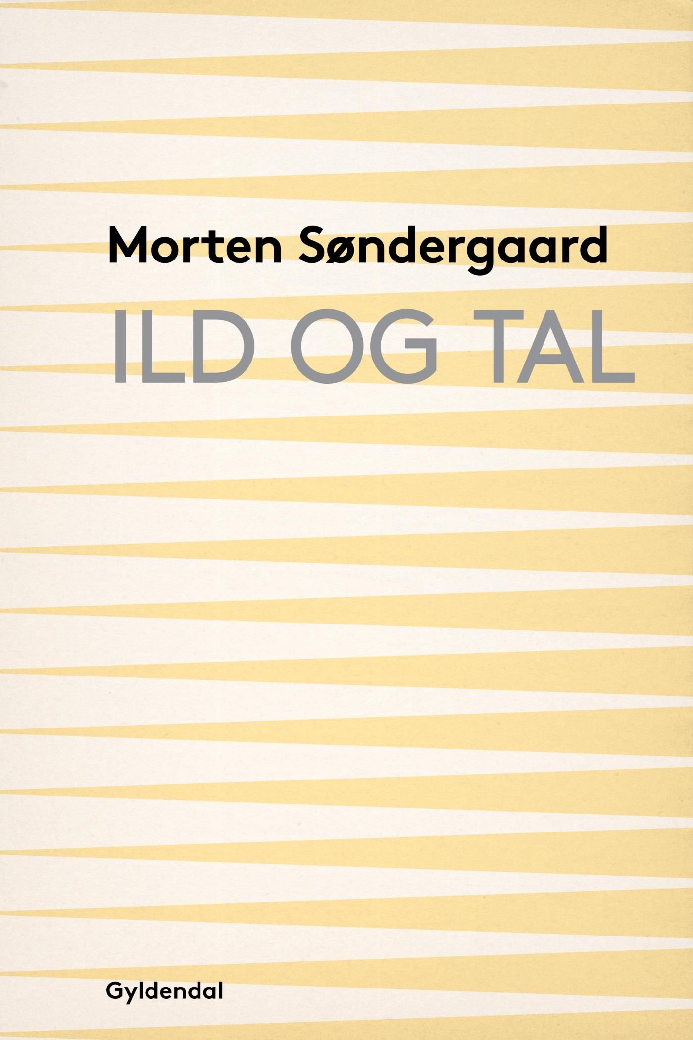 Ild og tal, e-bok av Morten Søndergaard