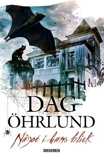 Något i hans blick, e-bog af Dag Öhrlund