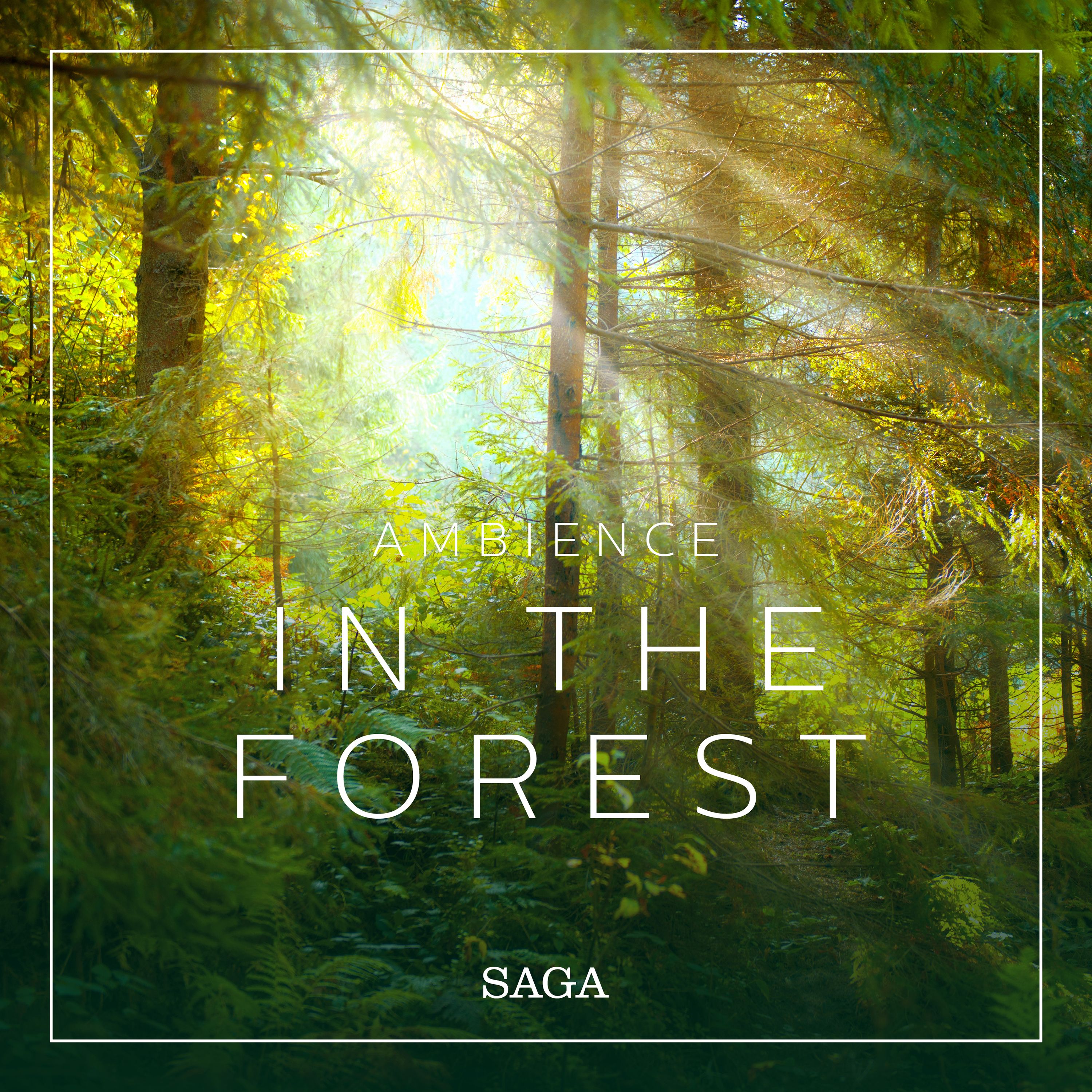 Ambience - In the Forest, ljudbok av Rasmus Broe