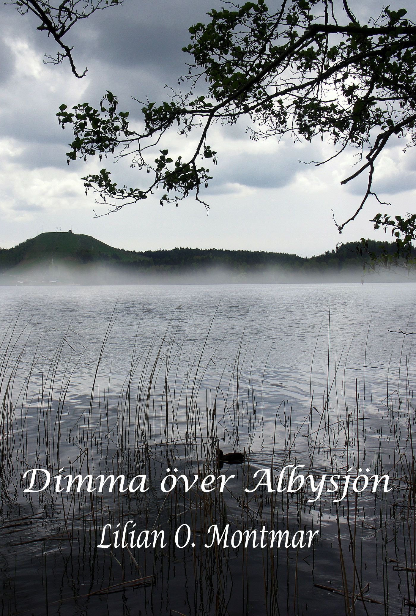 Dimma över Albysjön, ljudbok av Lilian O. Montmar
