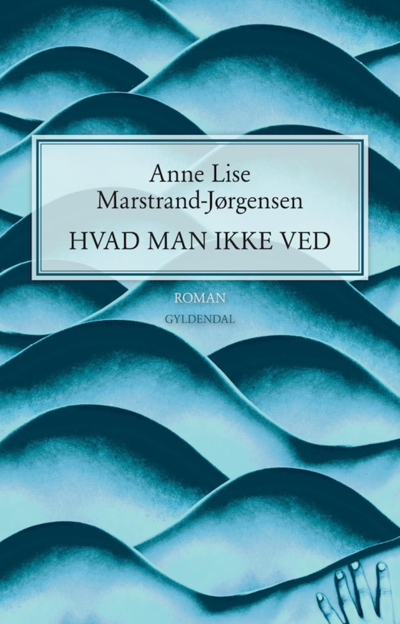 Hvad man ikke ved, e-bog af Anne Lise Marstrand-Jørgensen