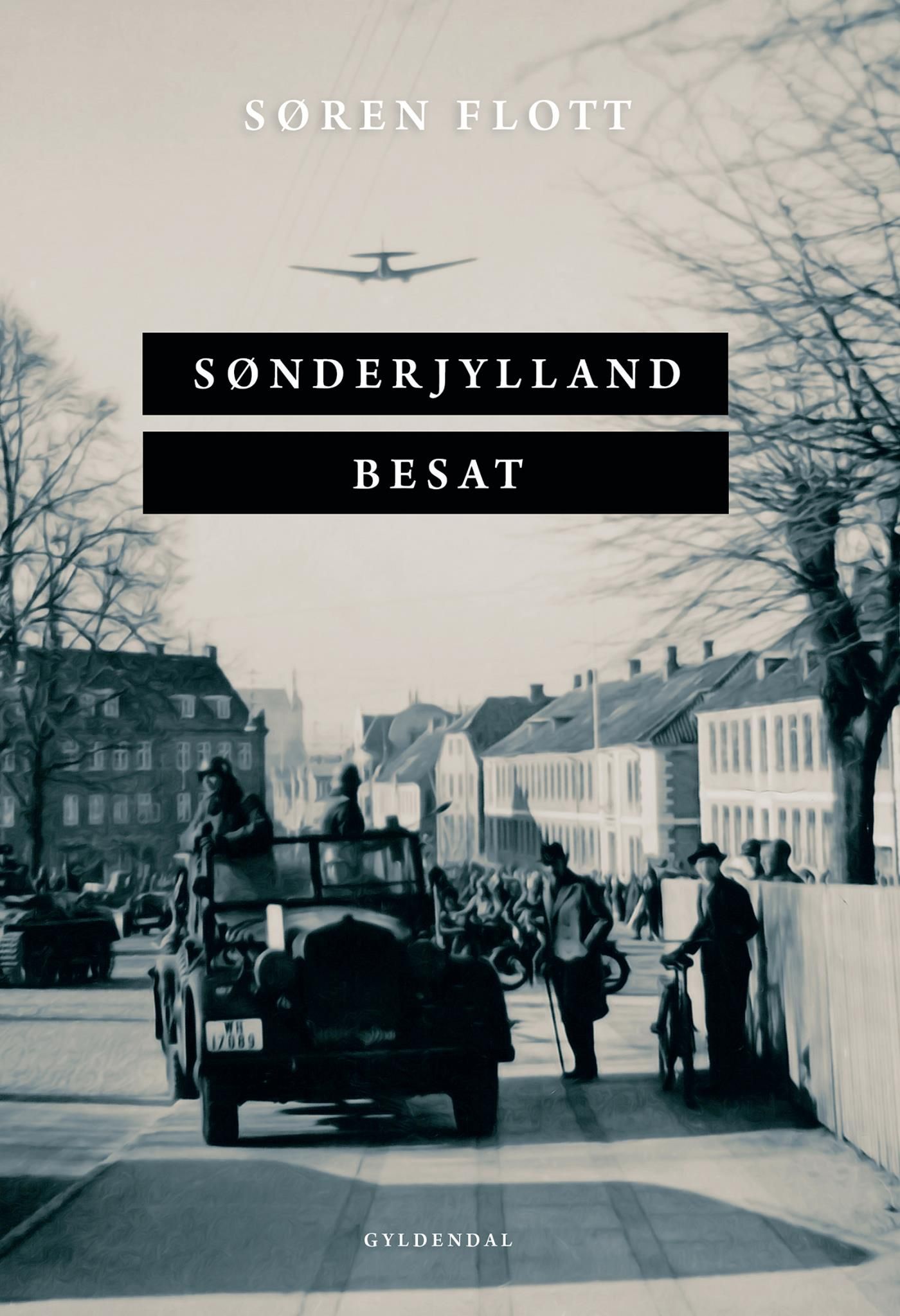 Sønderjylland besat, e-bok av Søren Flott