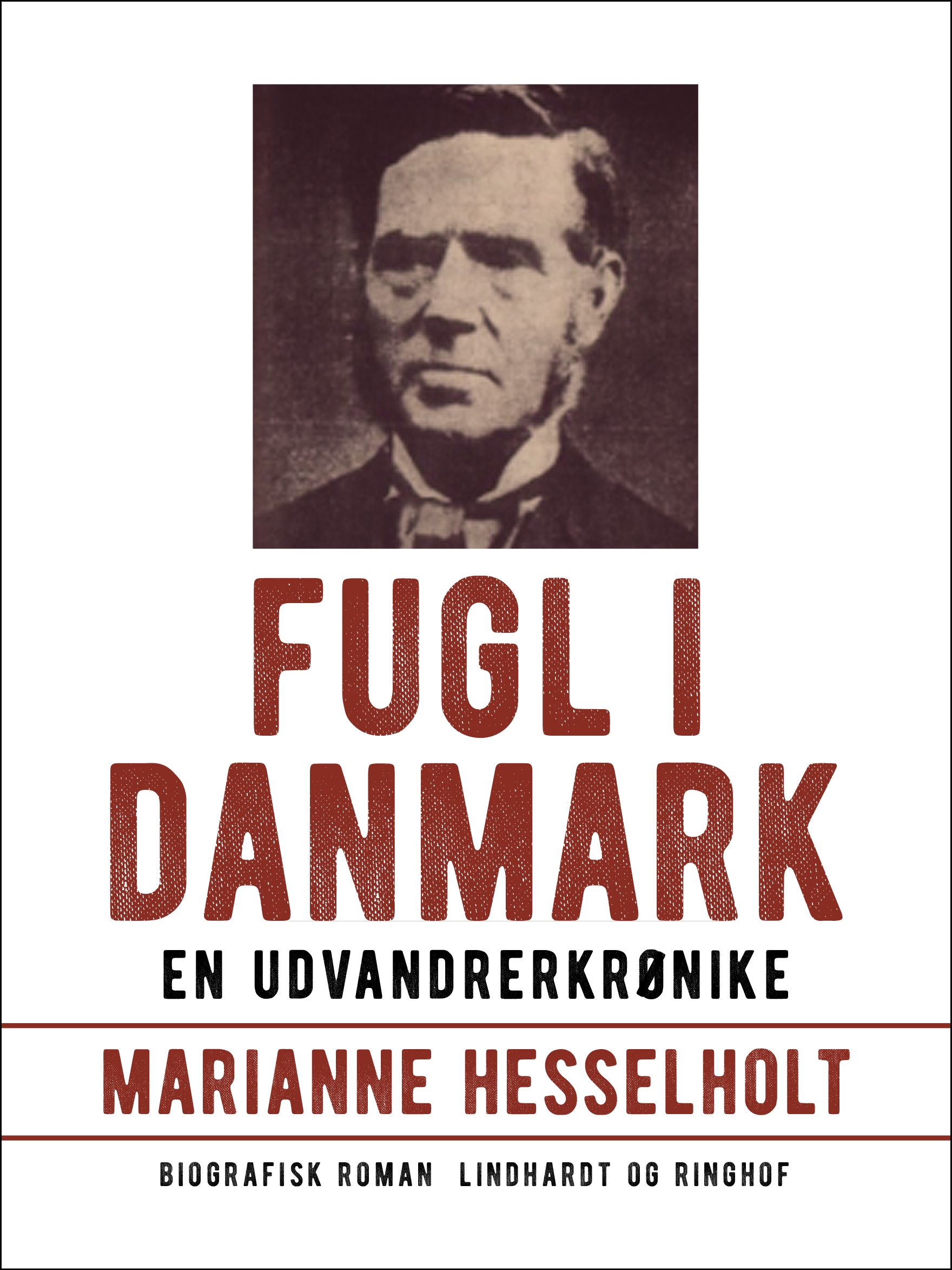 Fugl i Danmark, e-bok av Marianne Hesselholt